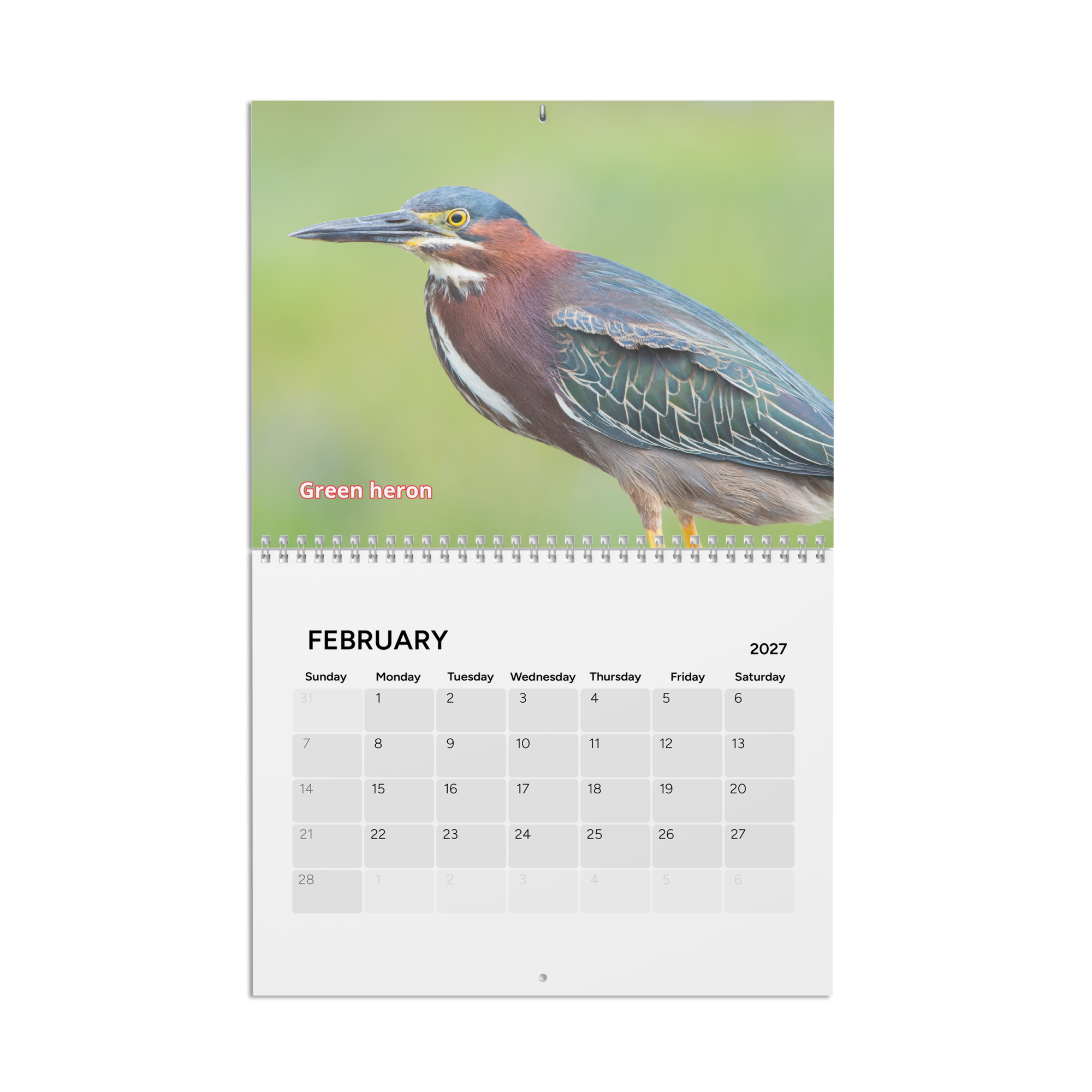 calendar-(2027)-10.8x8.4-front-6aab5600b3460.png
