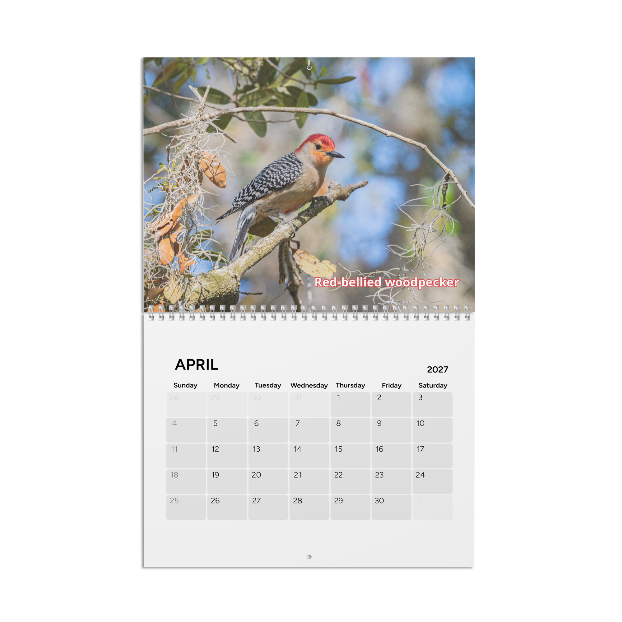 calendar-(2027)-10.8x8.4-front-6aab5600b3b58.png