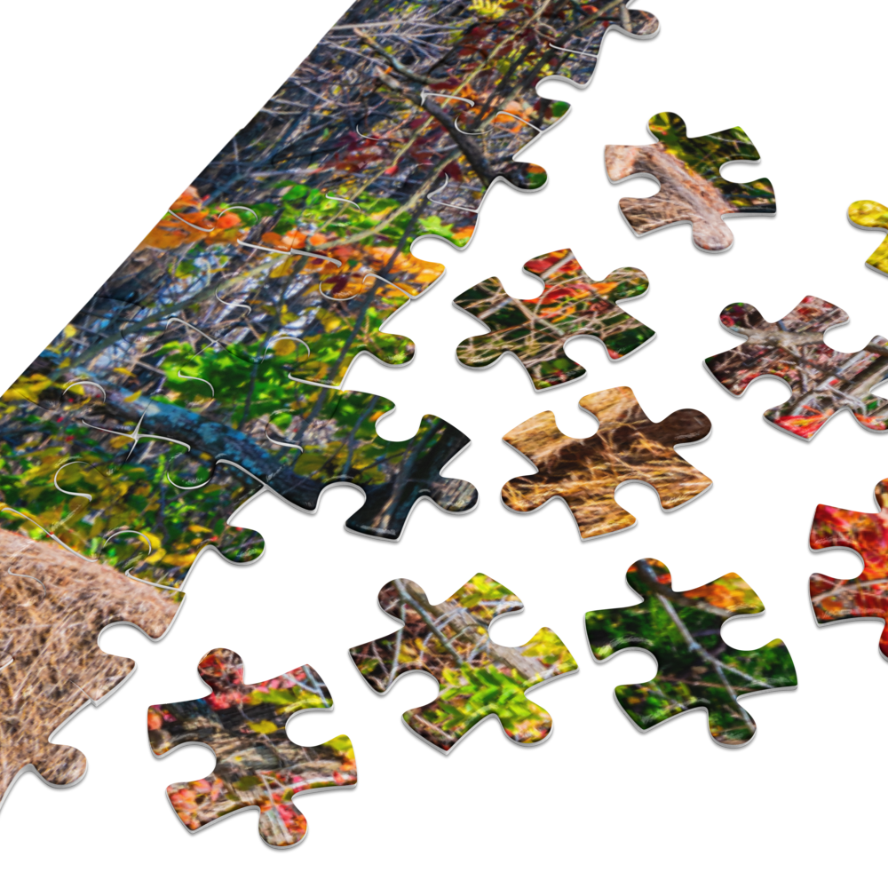 jigsaw-puzzle-with-tin-white-(glossy)-21x15.5-(500-pcs)-product-details-6a0e0bc39ac68.png