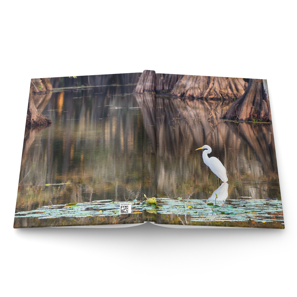 hardcover-journal-matte-white-8x5.75-front-69f69df03a5cf.png