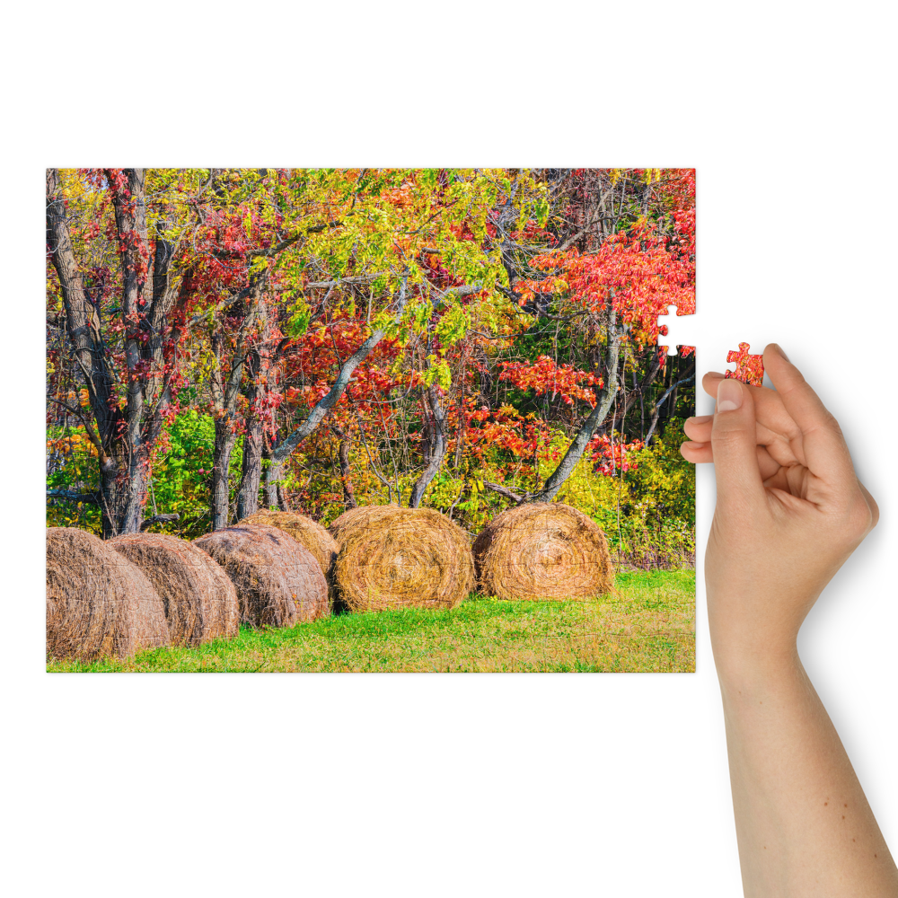jigsaw-puzzle-with-tin-white-(glossy)-14x11-(252-pcs)-front-6a0e0bc39aa5a.png