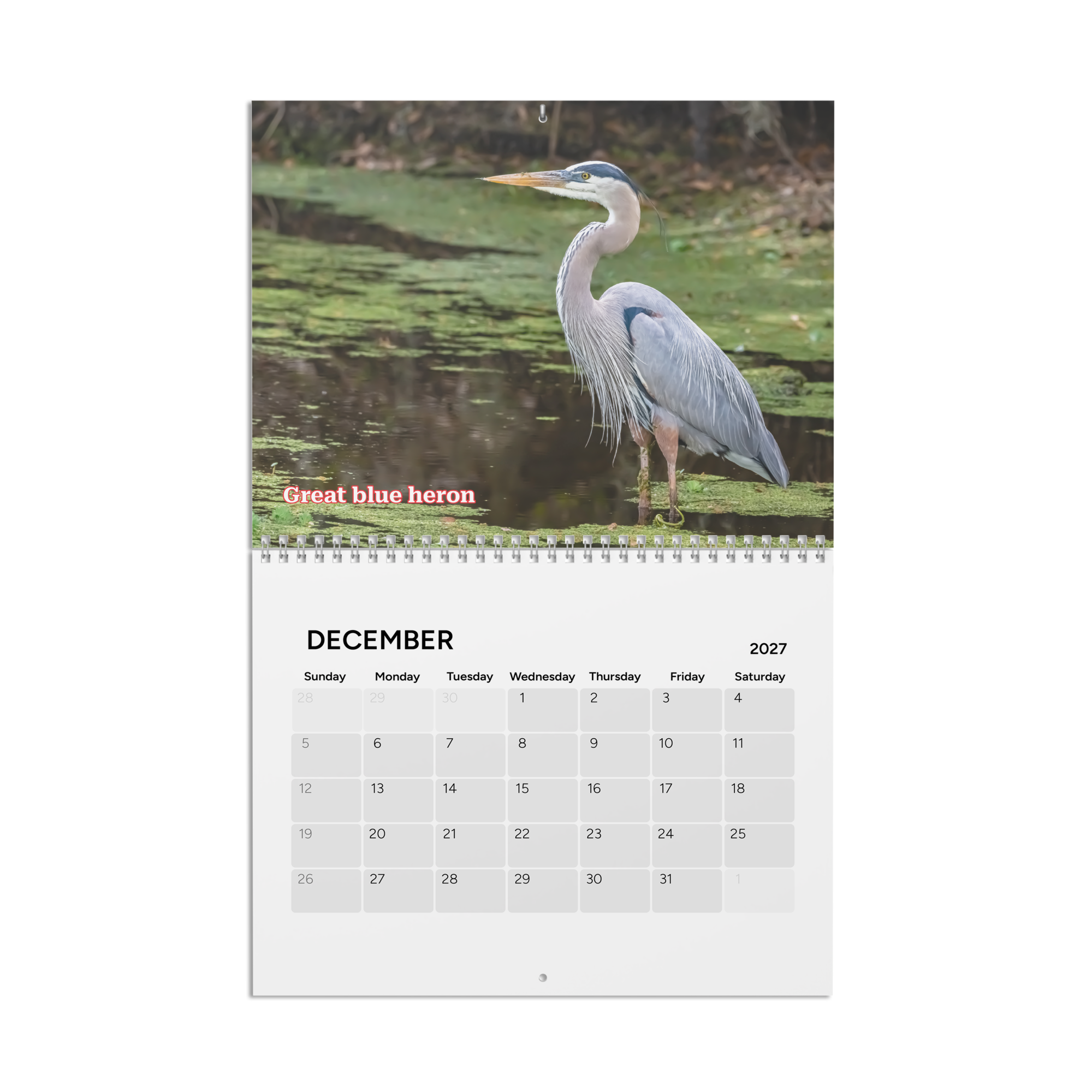 calendar-(2027)-10.8x8.4-front-6aab5600b56ed.png