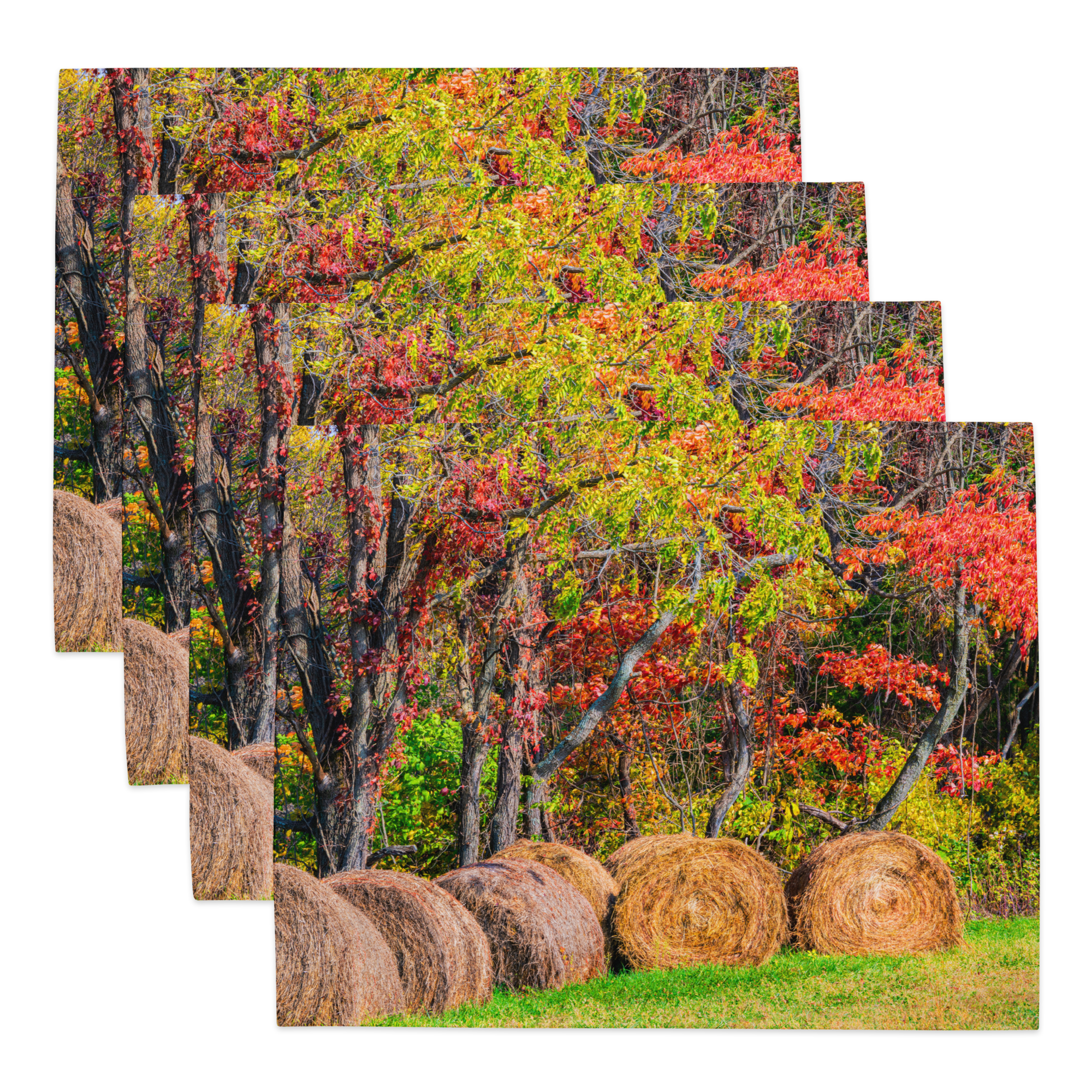 placemat-set-(4)-white-front-6a137d0586501.png