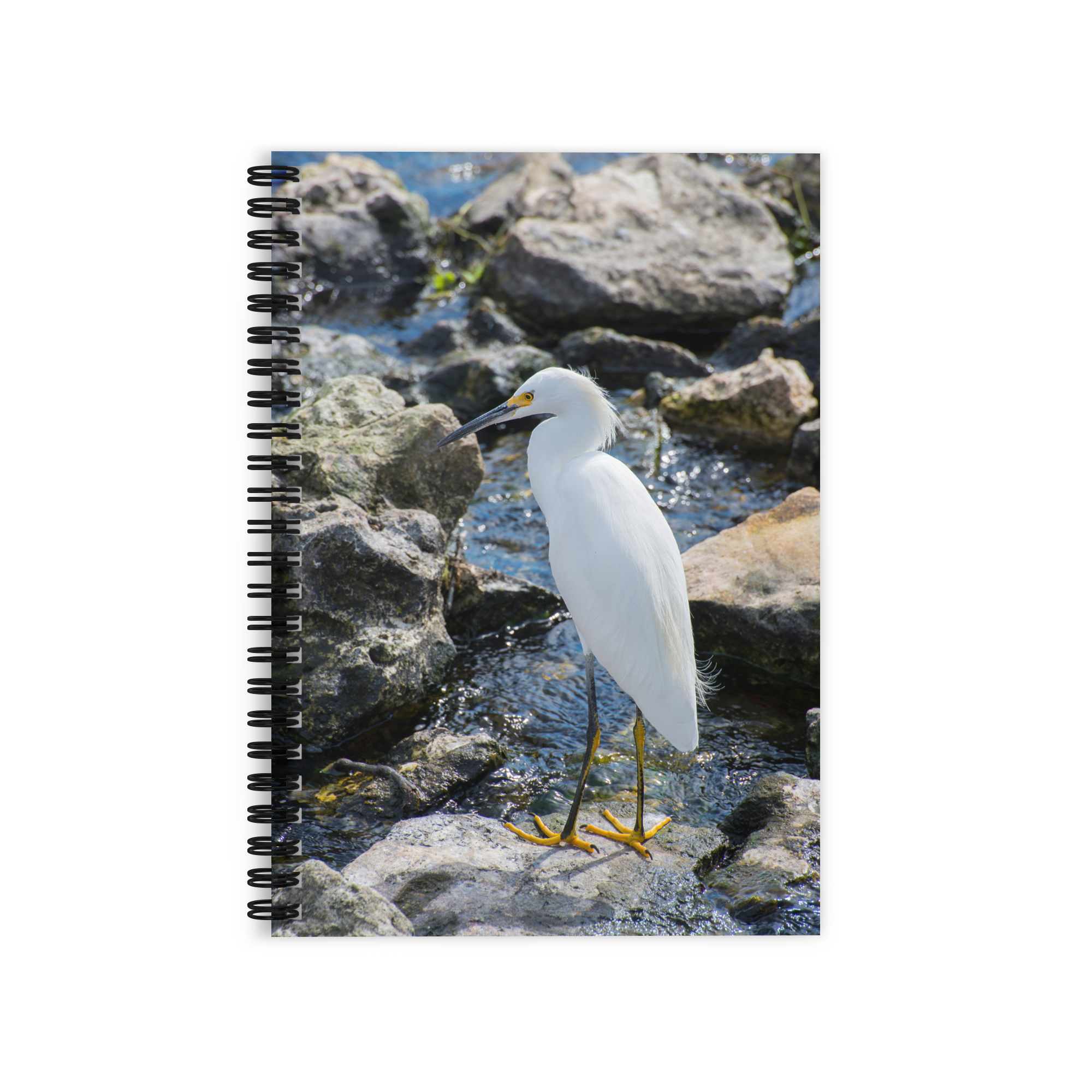 ruled-line-spiral-notebook-one-size-front-69fb8ebad7aab.png