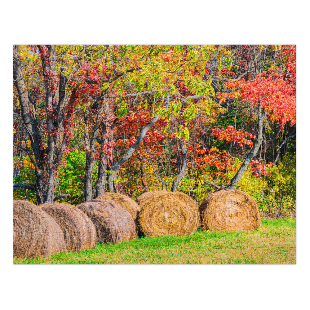 jigsaw-puzzle-with-tin-white-(glossy)-14x11-(252-pcs)-front-6a0e0bc39a959.png