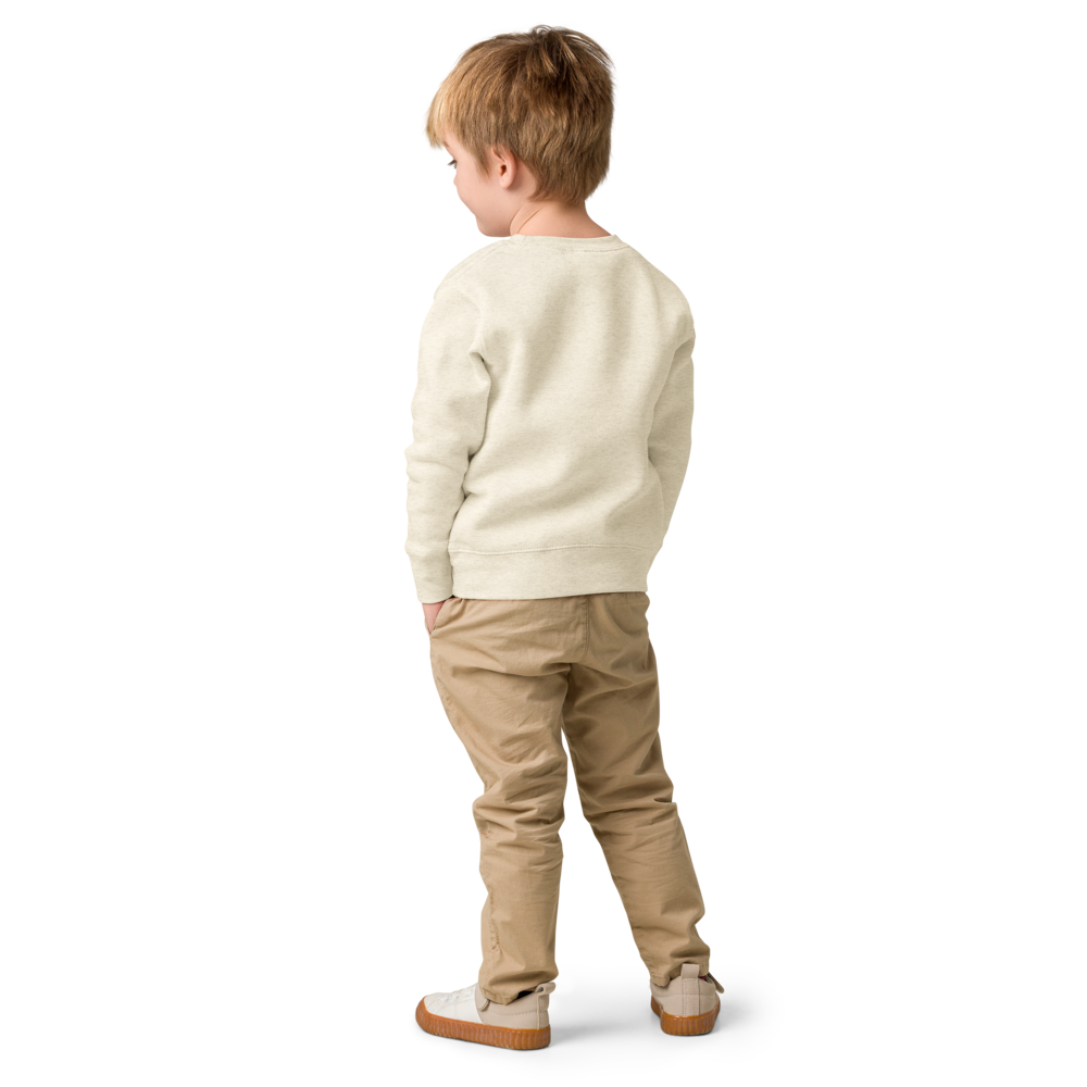 kids-crew-neck-sweatshirt-natural-heather-back-69faab47b30c5.png