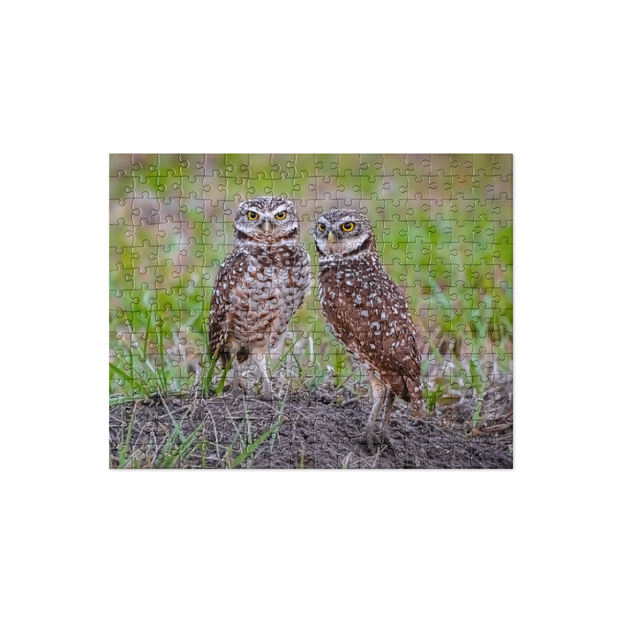 jigsaw-puzzle-252-pieces-front-69f6636a1b32a.png