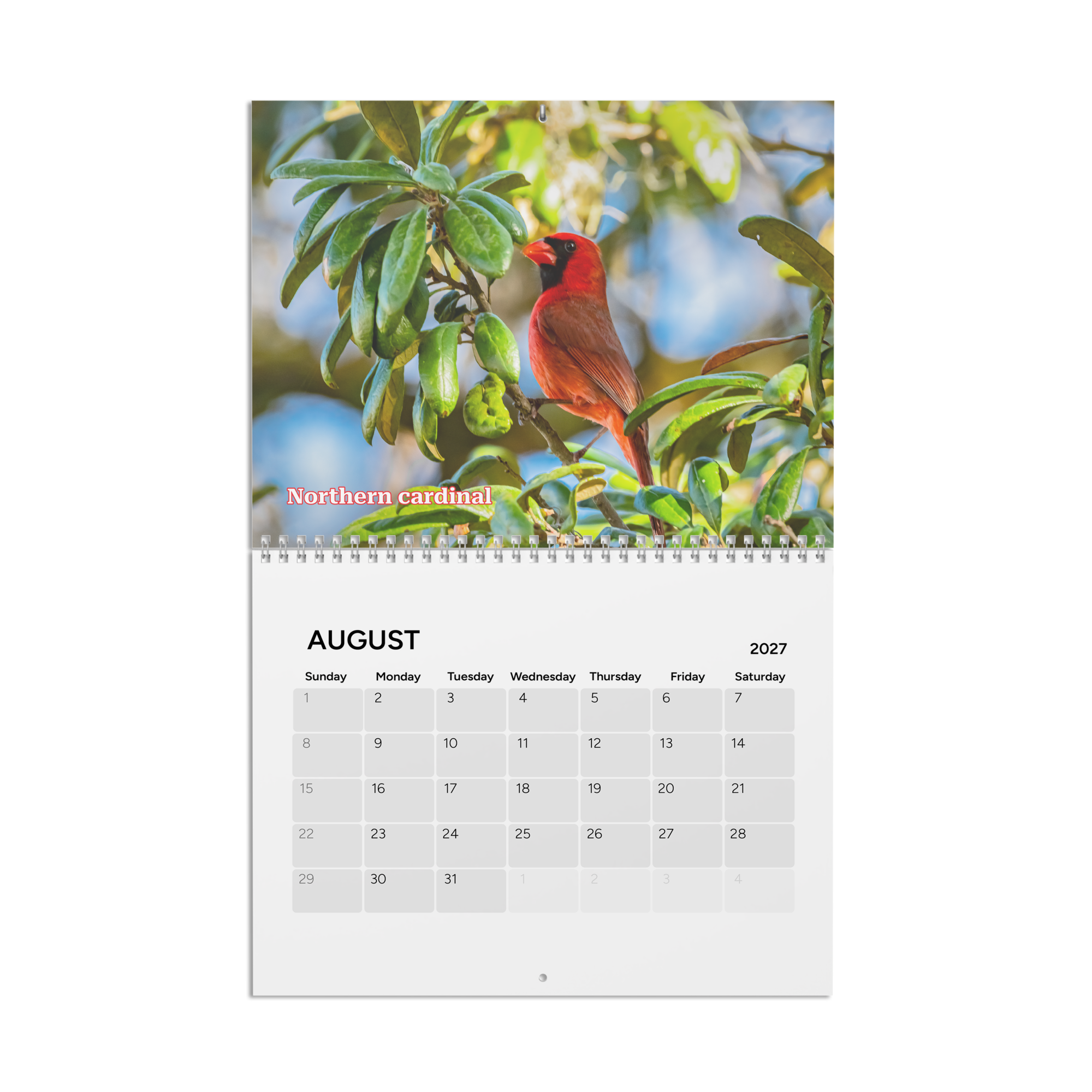 calendar-(2027)-10.8x8.4-front-6aab5600b49aa.png