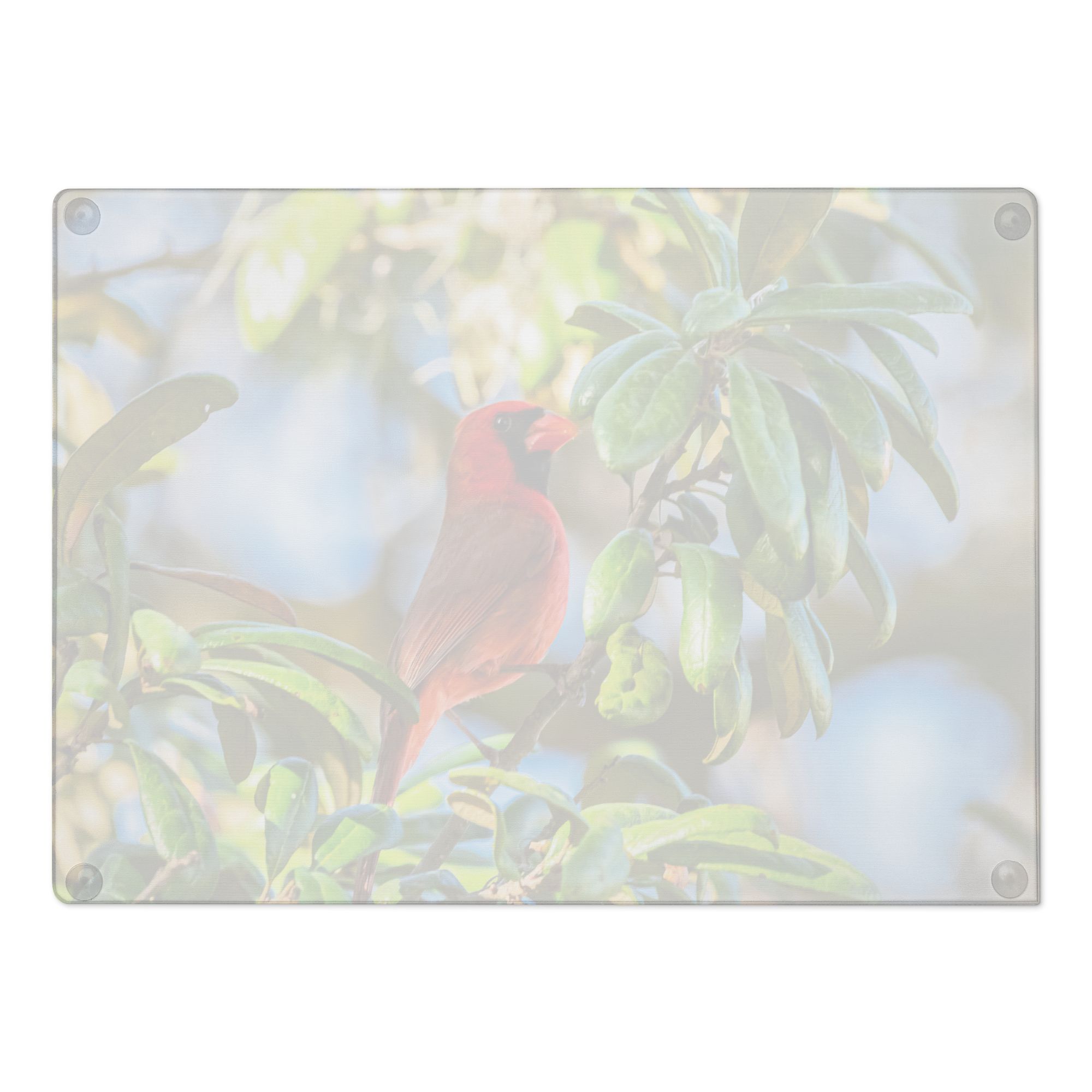glass-cutting-board-rectangle-11x15-back-6a052f0484c83.png