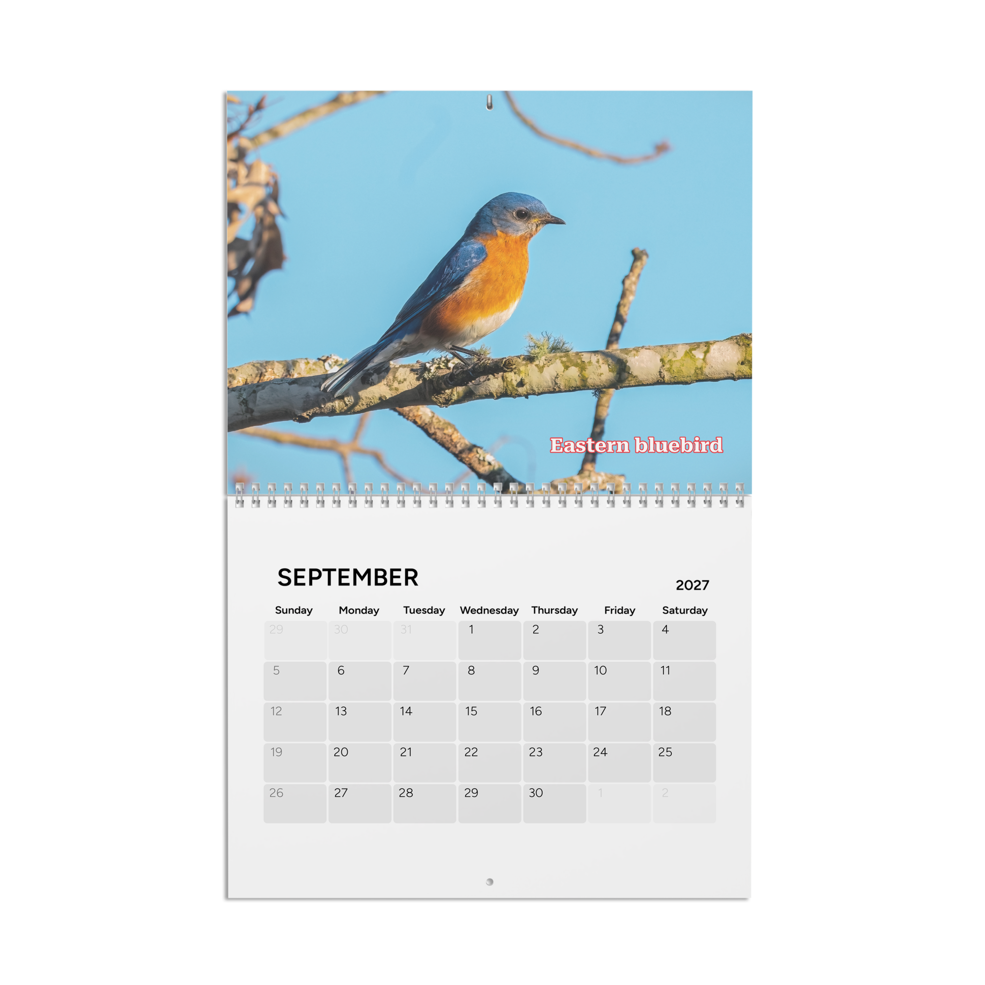calendar-(2027)-10.8x8.4-front-6aab5600b4ceb.png