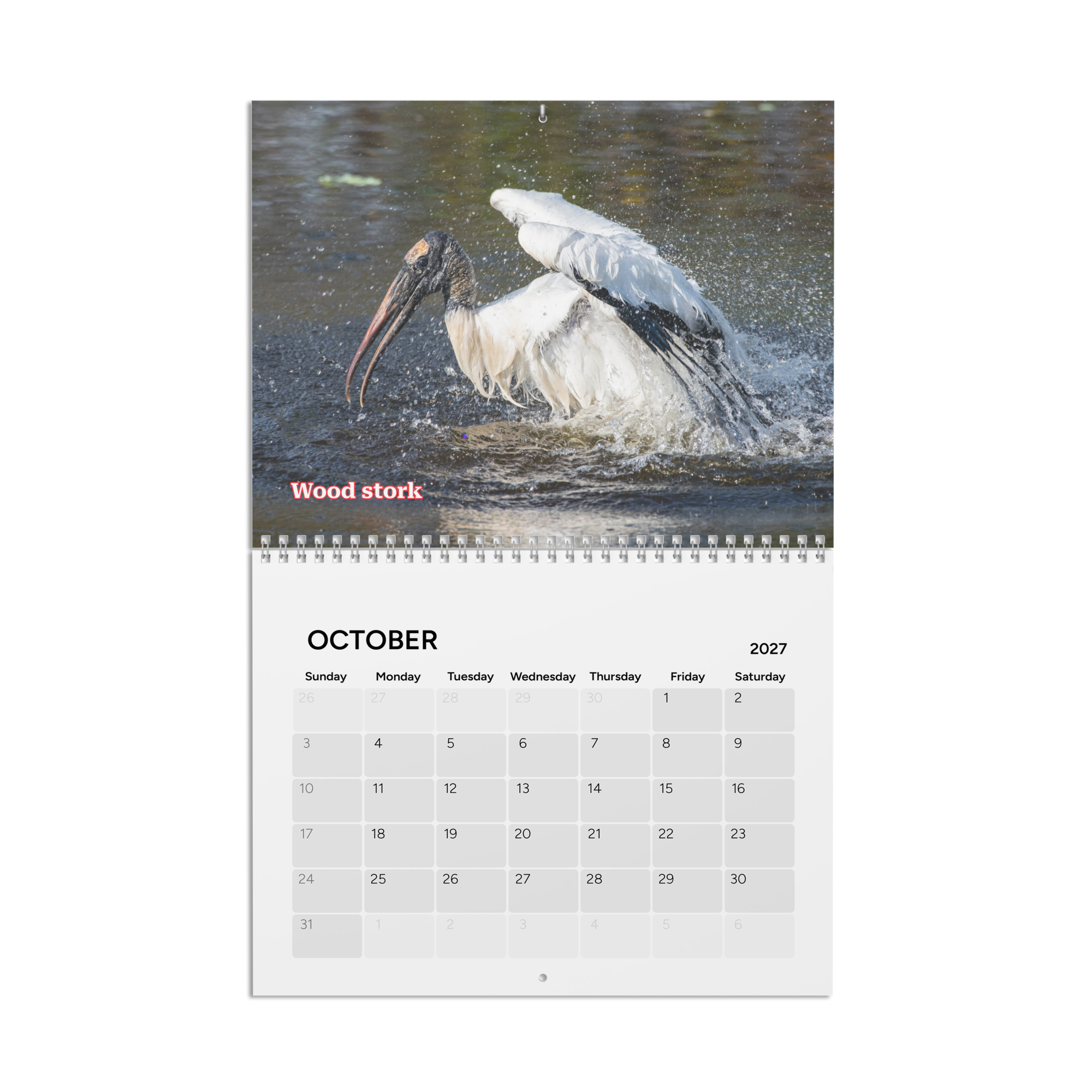 calendar-(2027)-10.8x8.4-front-6aab5600b502f.png