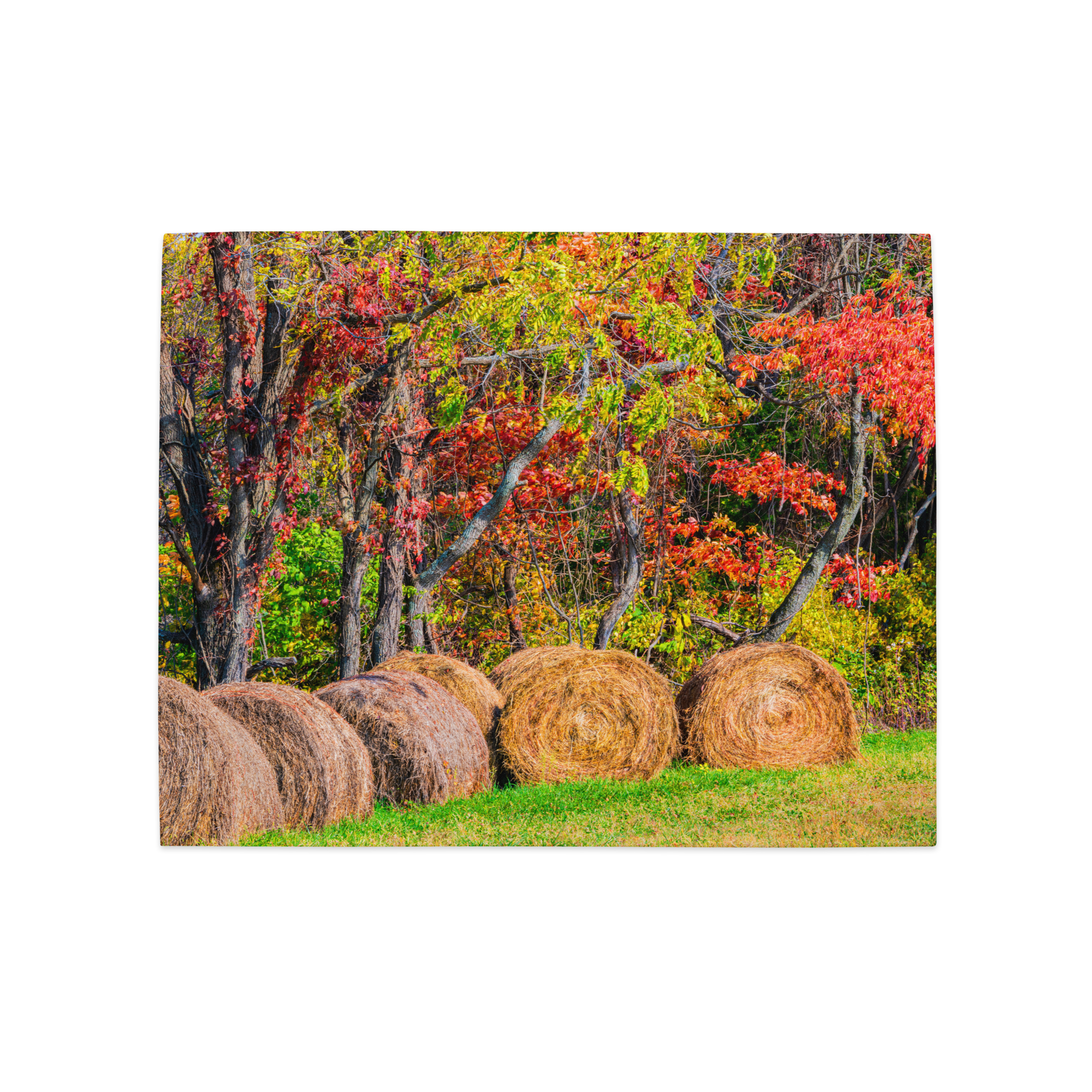 placemat-set-(4)-white-front-2-6a137d0585d87.png