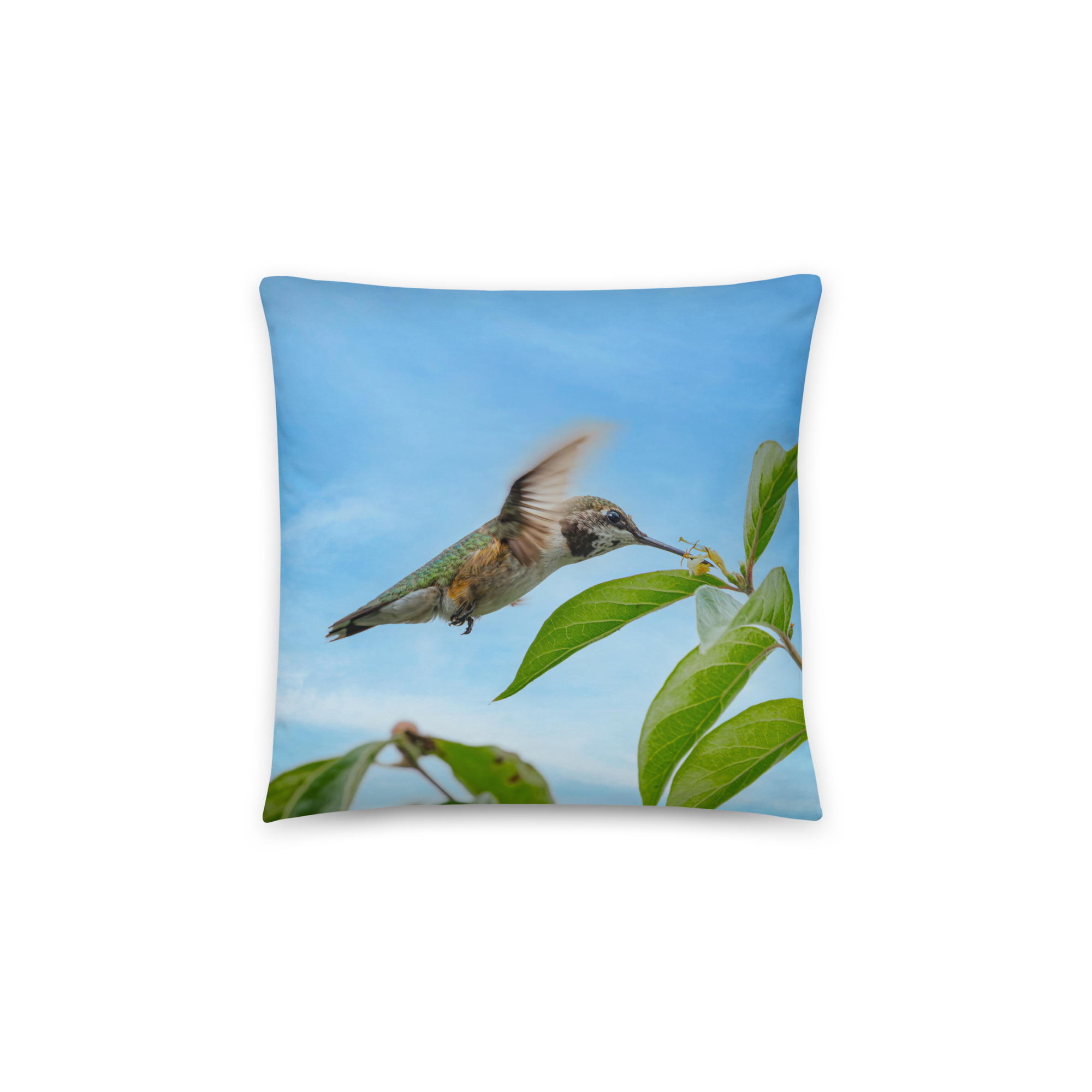 all-over-print-basic-pillow-14x14-back-6aa8aaf241dd6.png