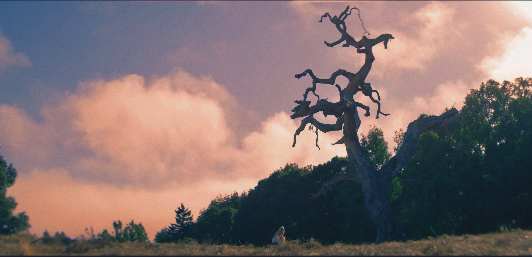 Film // 'En Passant' Short Film // Director