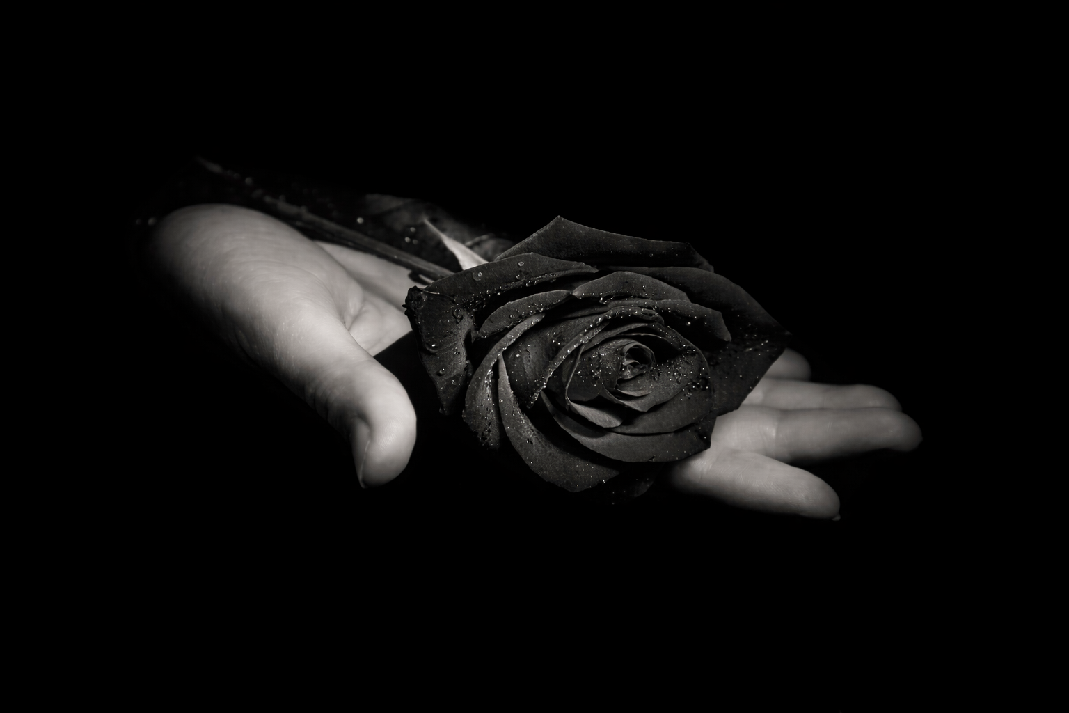 Una mano sosteniendo una rosa negra con gotas de agua en un fondo oscuro.