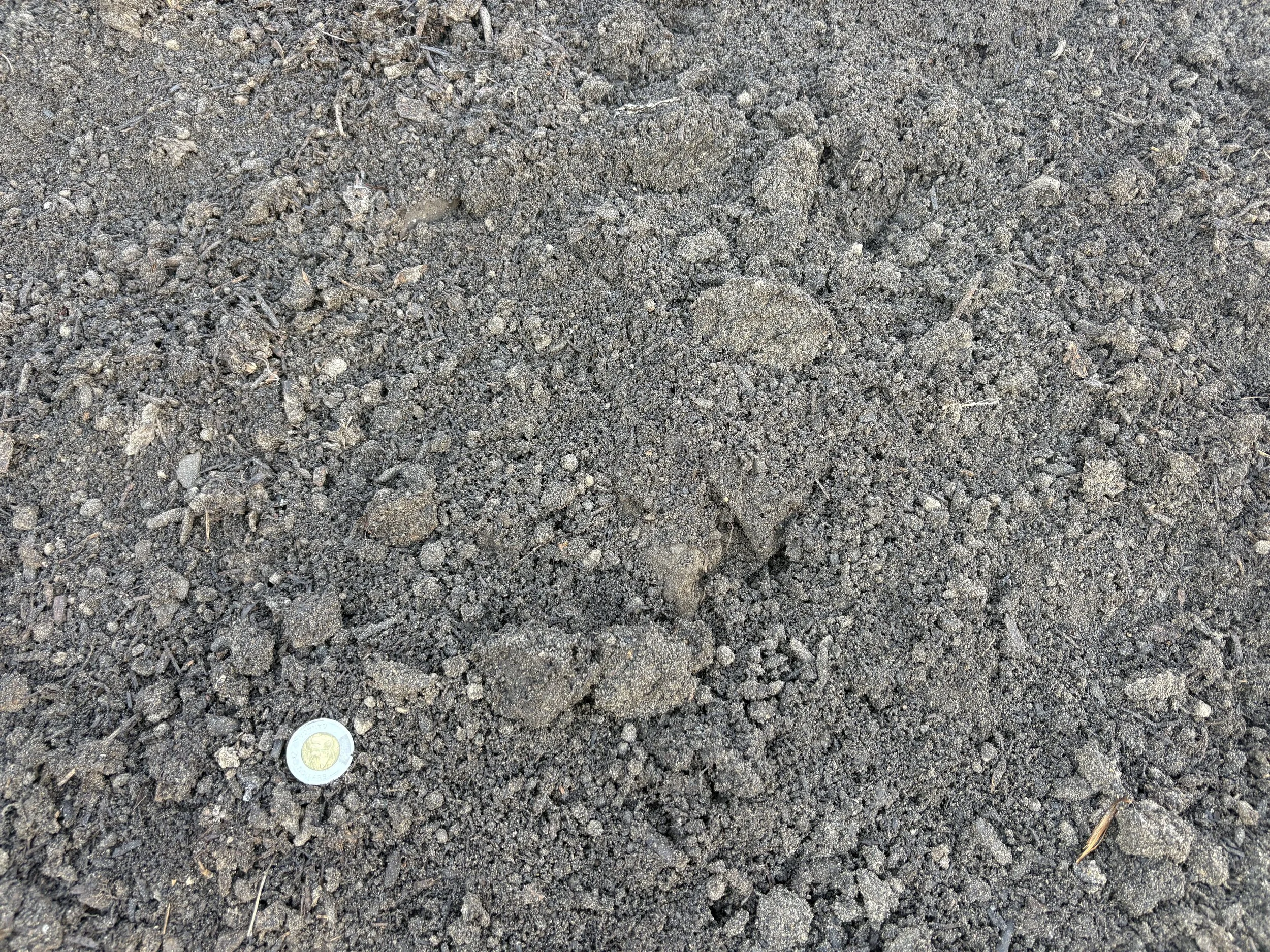 Triple Mix Soil - Delivered