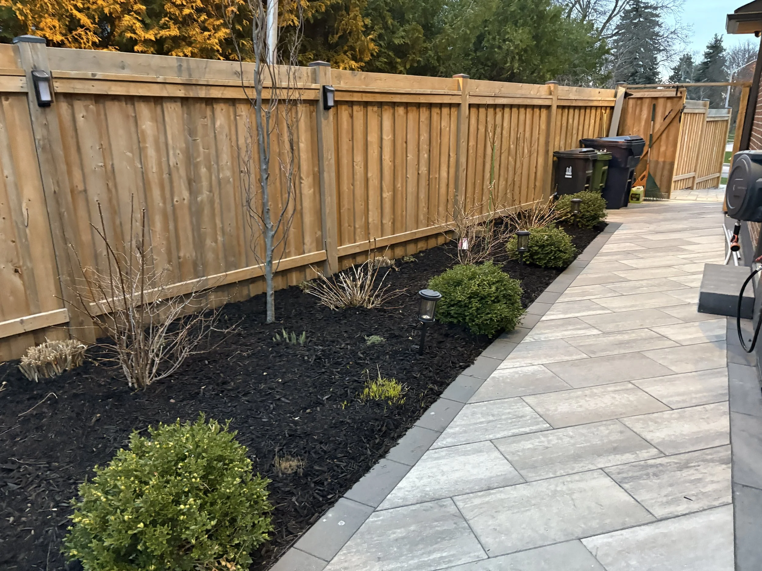 Backyard with a wooden fence, a paved stone walkway, small bushes, planted area with young plants and several outdoor lights.