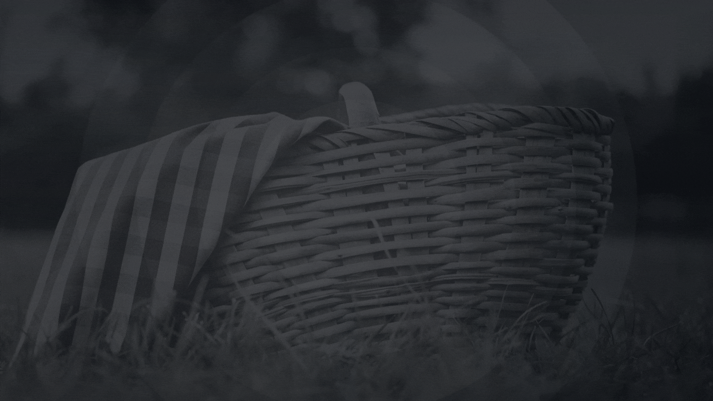 Annual All Church Picnic