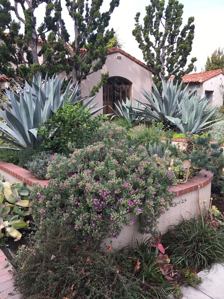 Potted plants arranged on a modern hillside terrace overlooking the Los Angeles cityscape at sunset