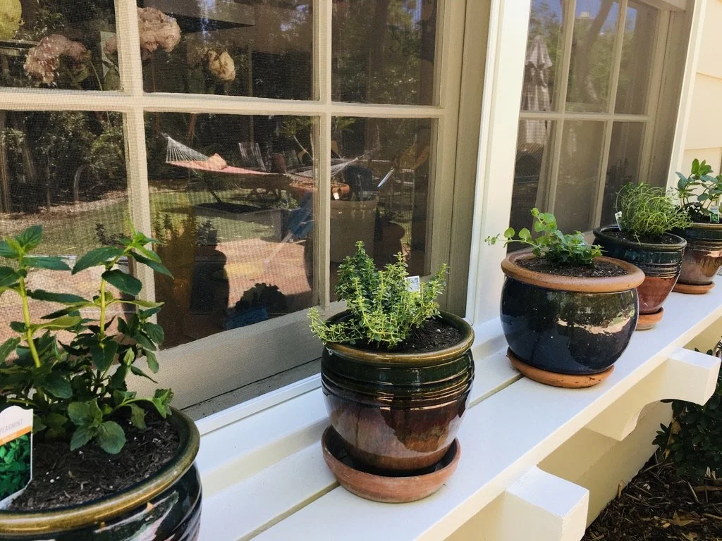 Sepulveda Canyon Windowsill Herb Garden
