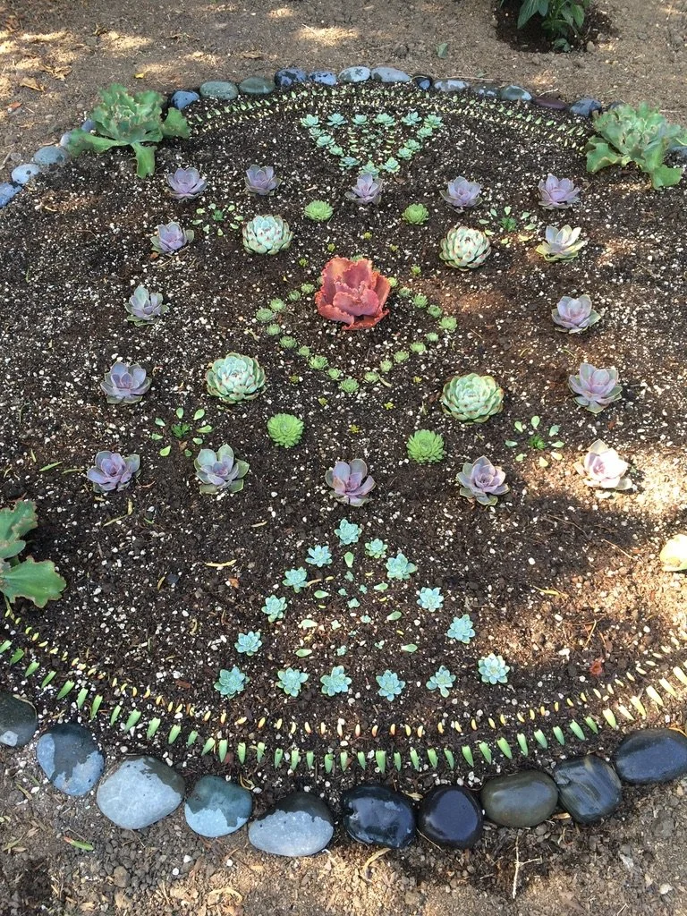 Completed garden bed with native and edible plants in a Los Angeles residential yard
