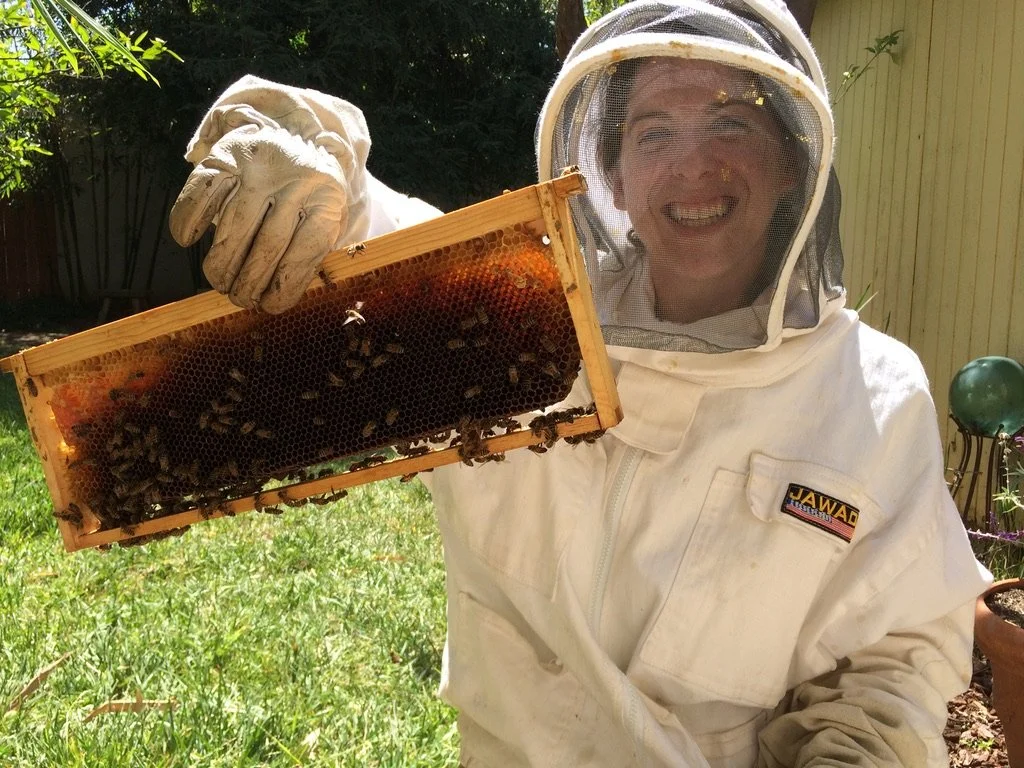 Backyard Beekeeping