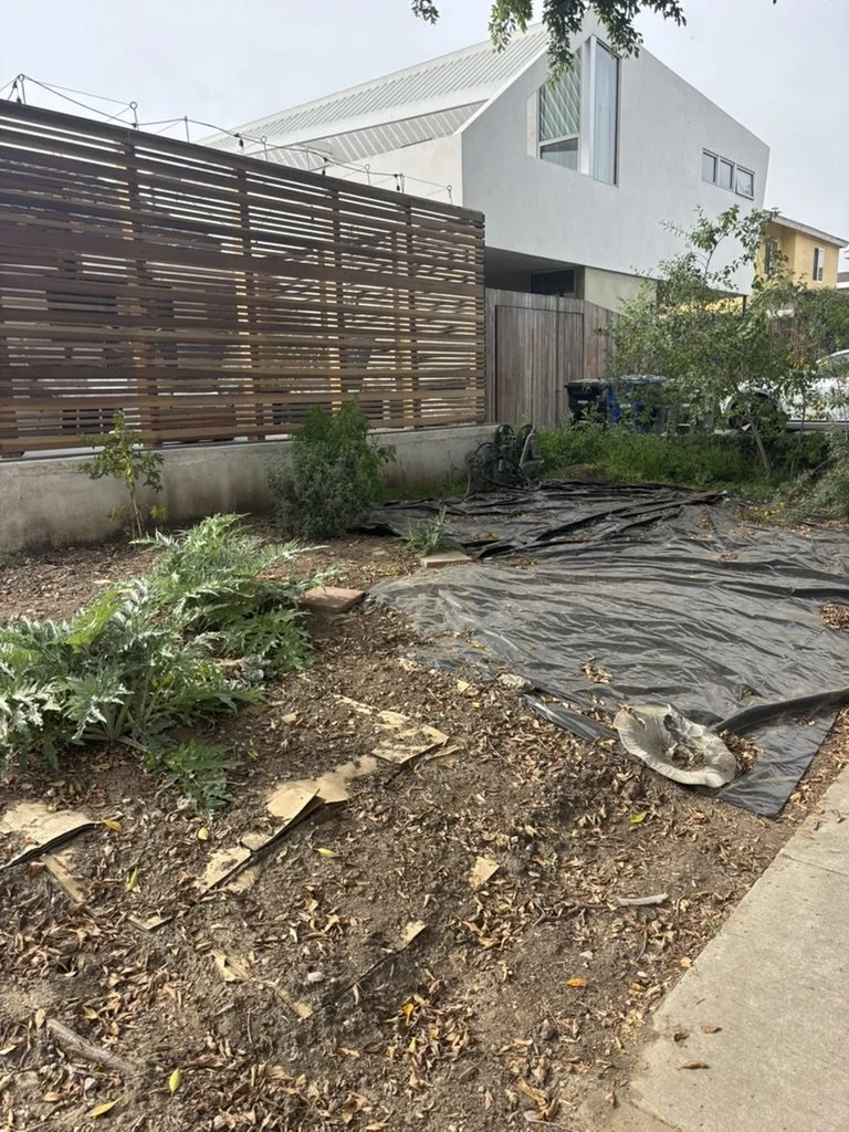 Tilden CC Before.jpeg