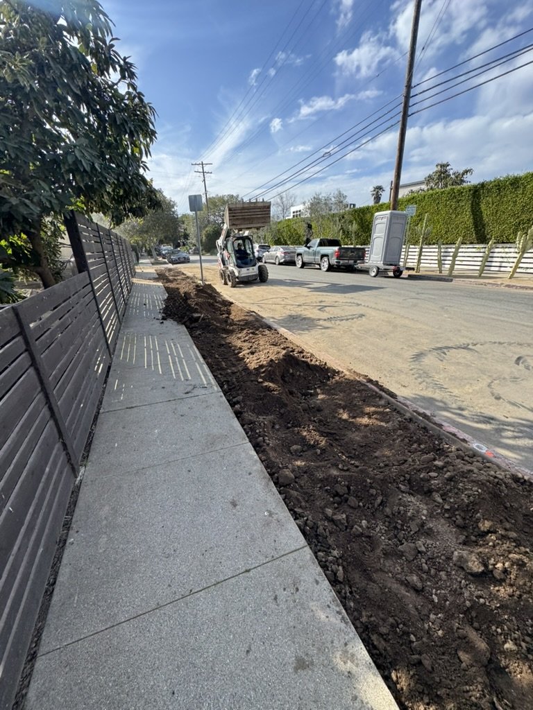 Lindblade During.jpeg