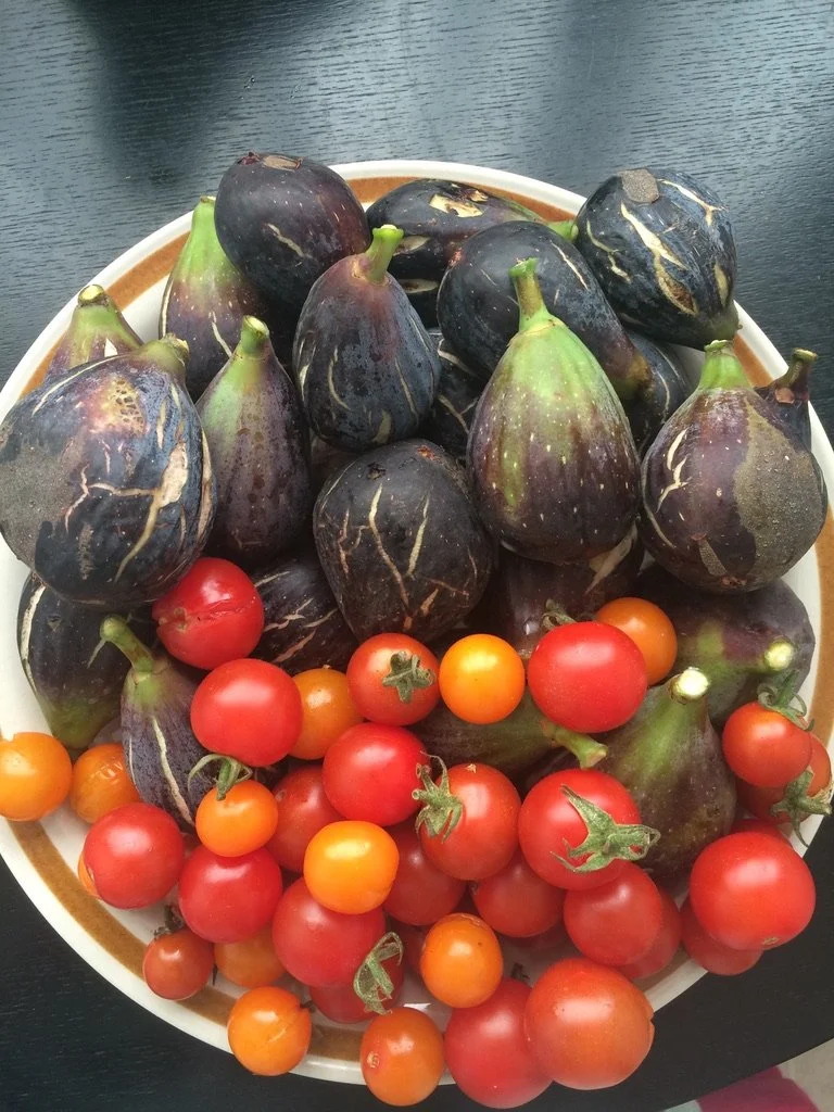 Seasonal harvest of tomatoes, figs, and mixed vegetables grown in a home garden