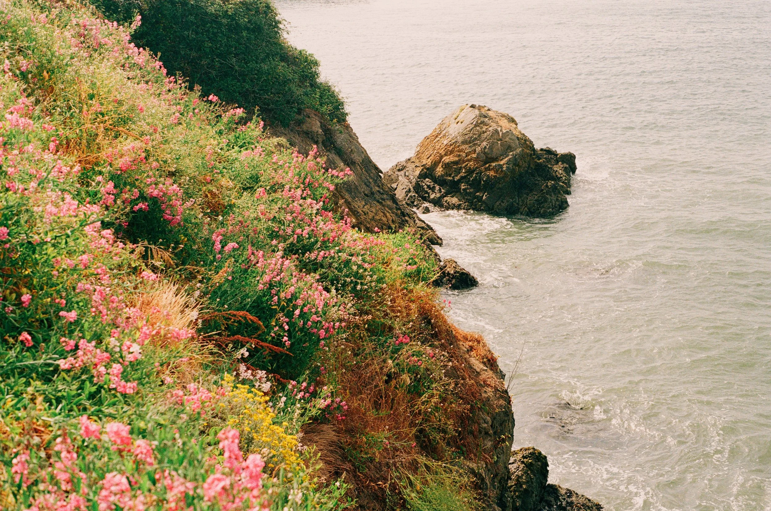 Floral Cliffs