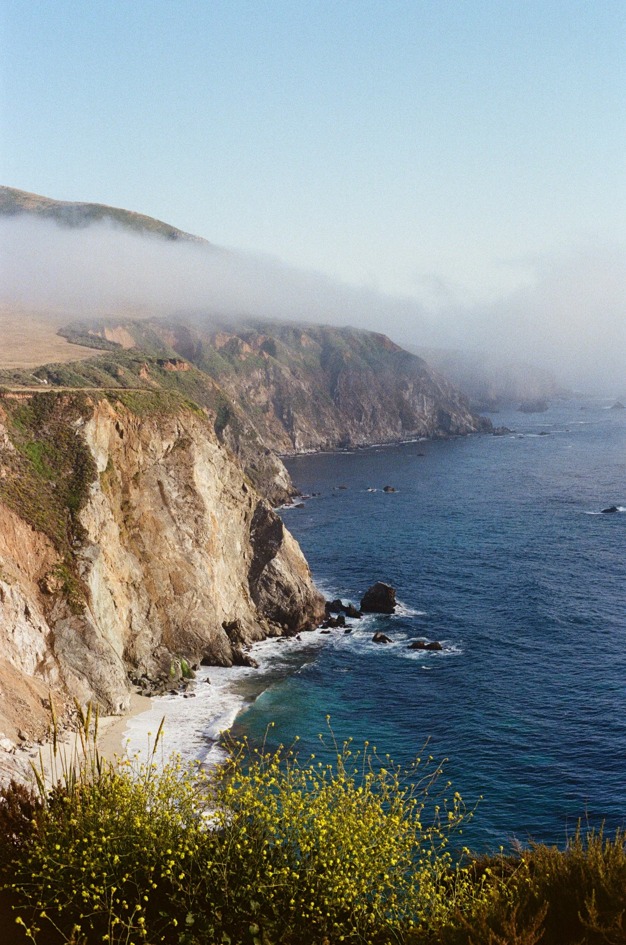 Scenic view of rugged cliffs along the coast with the ocean below, some fog in the distance, and yellow flowers in the foreground.