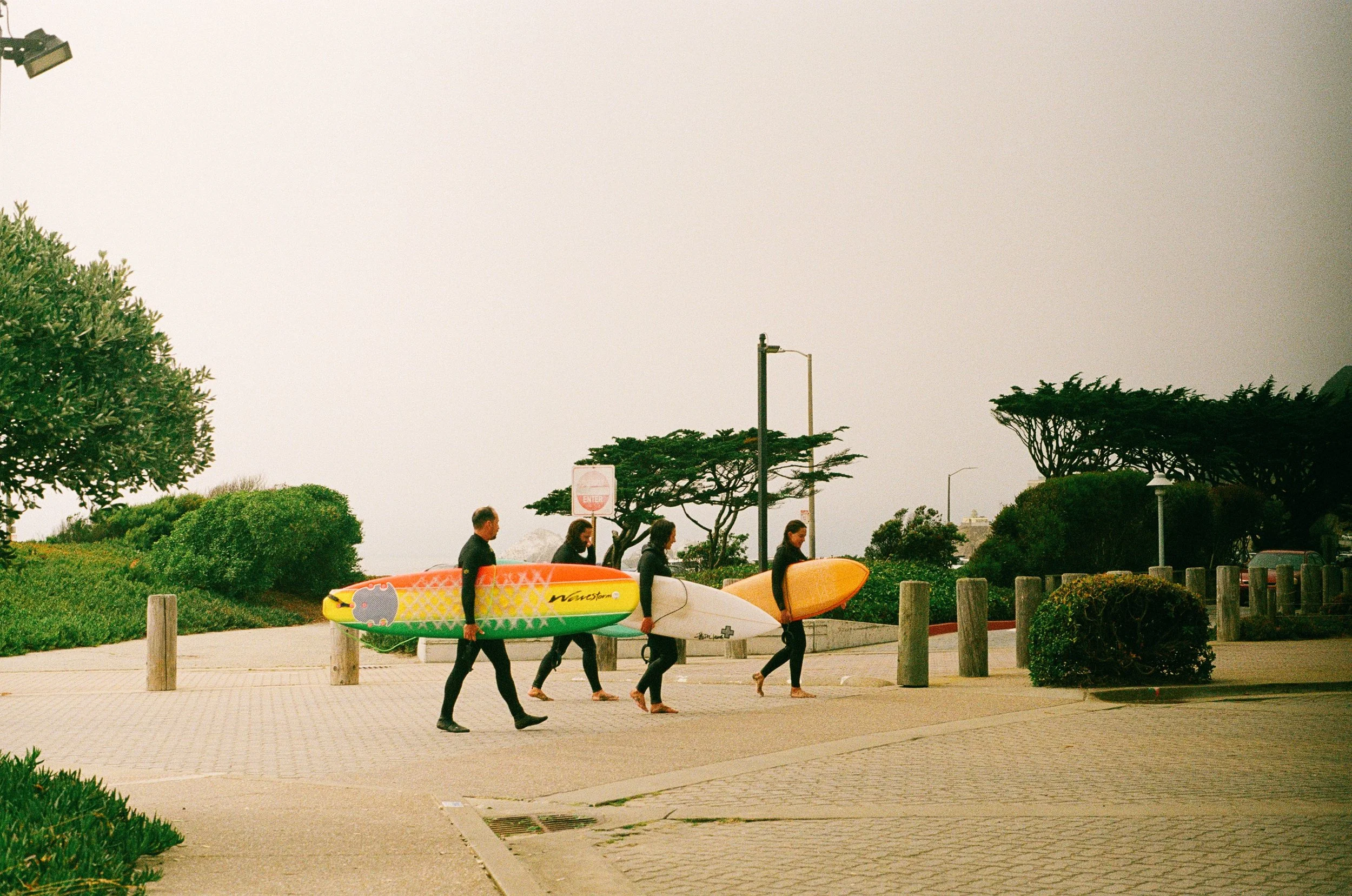 Four people walking on a sidewalk near the beach, carrying colorful surfboards, surrounded by trees and bushes.