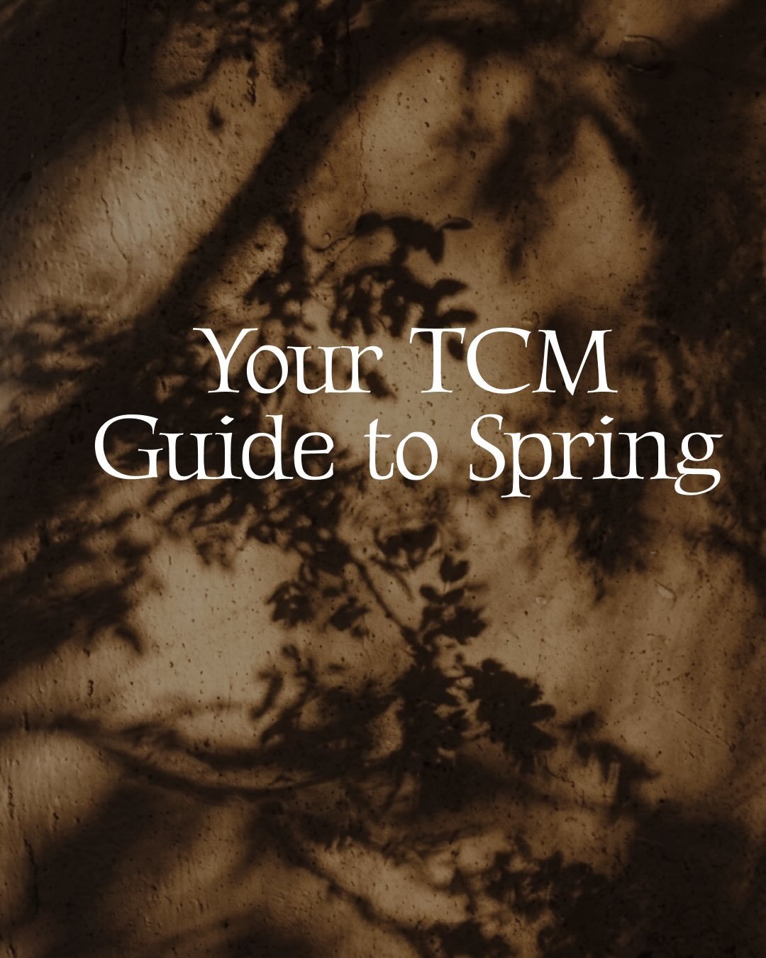 How to nourish your body this spring according to TCM #acupuncture #wellness #selfcare #holistichealth #stressrelief