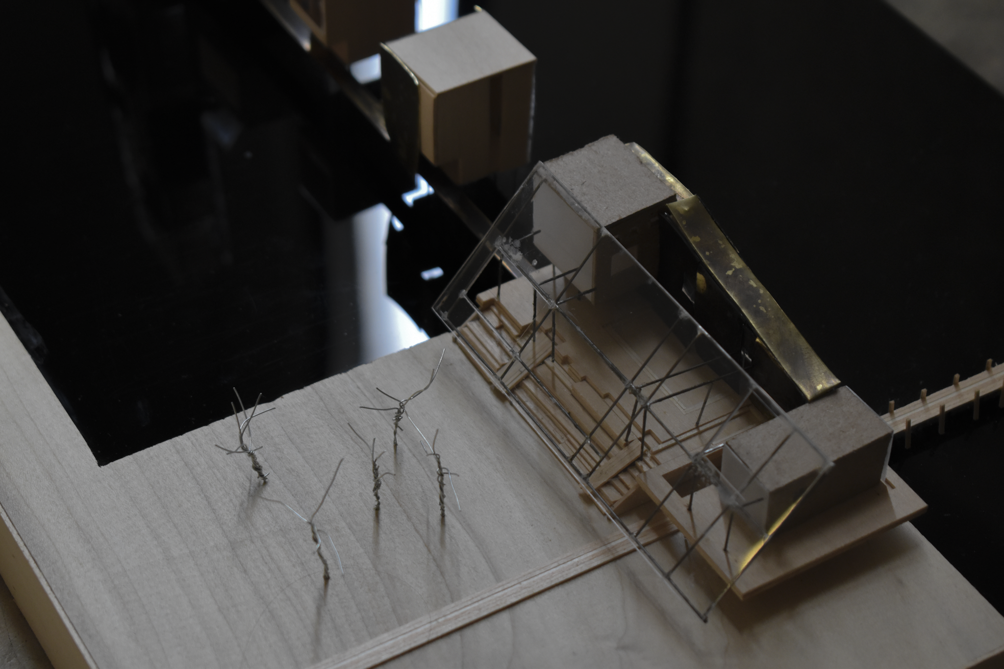 DSC_0684.png