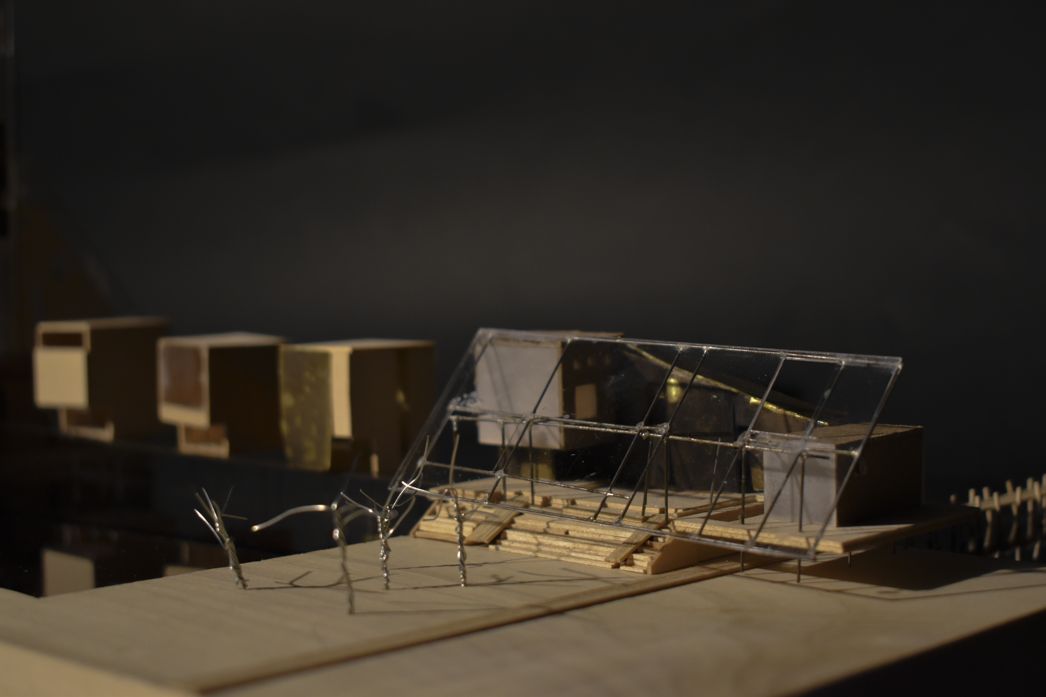 DSC_0718-2.png