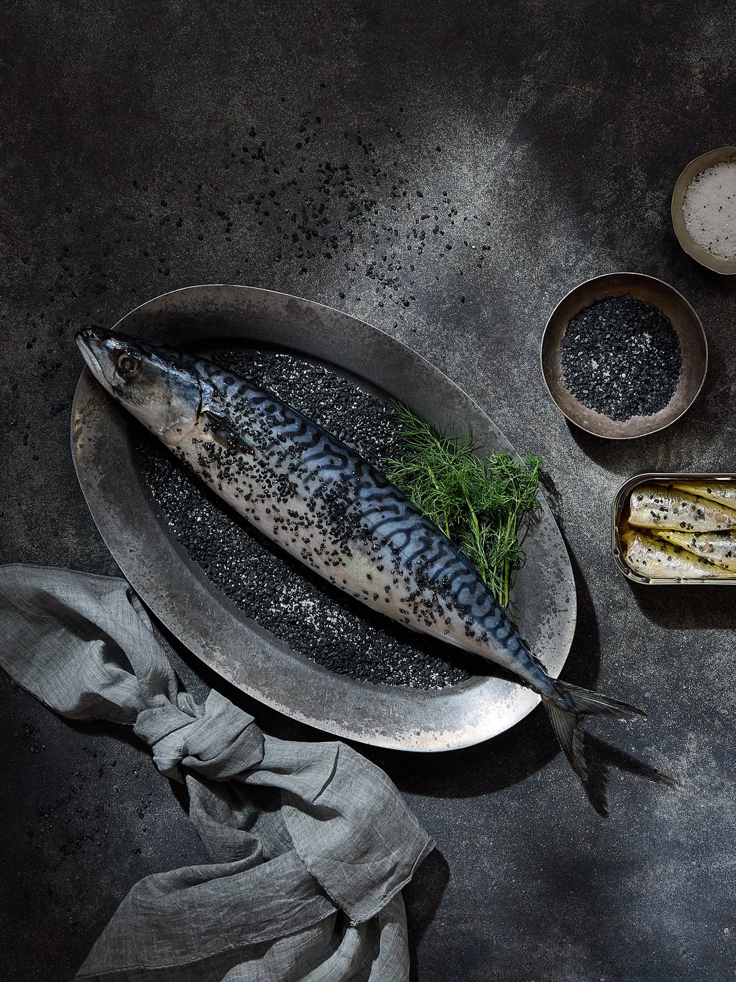 2024_Sartain_Chesney_Surfacehaus_Cosita_GreyFish_Hero copy.jpg