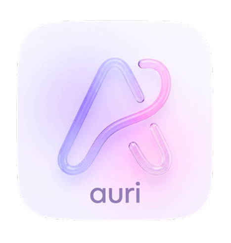Auri — AI Decision Assistant