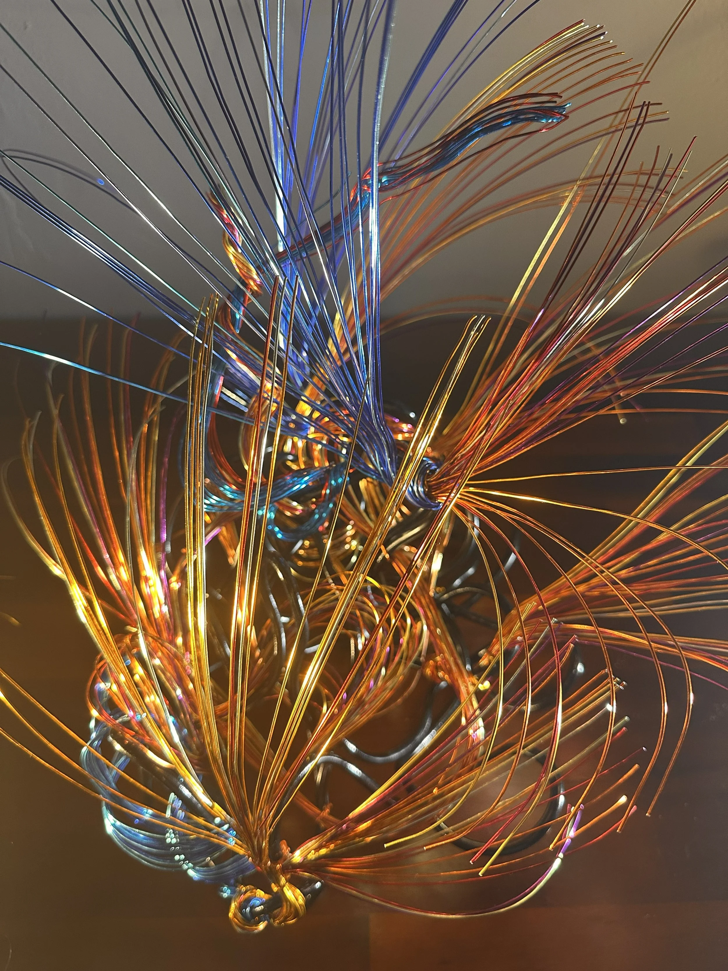Close-up of colorful, metallic wire sculptures or art installation with intertwining, curved, and straight wires in shades of blue, gold, and silver.