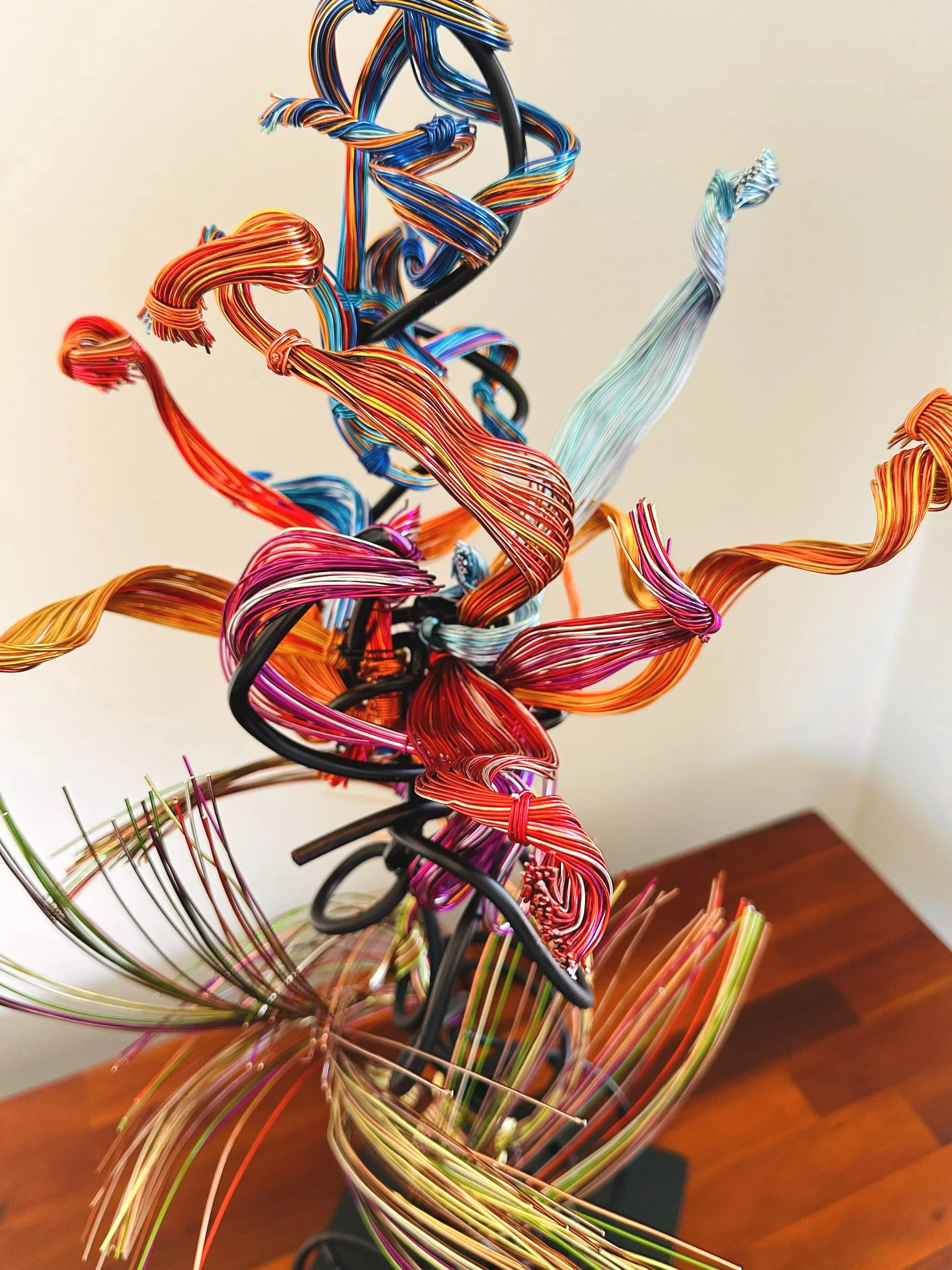 Title: “Paradise" Detail #1. 
Dimensions:  1' 0" × 1' 0" × 2' 8"
Coiled strands rise and twist like a wild tendril caught in a sudden gust, capturing the restless motion of growth reaching toward open air.



Hand‑formed wire sculpture exploring bota