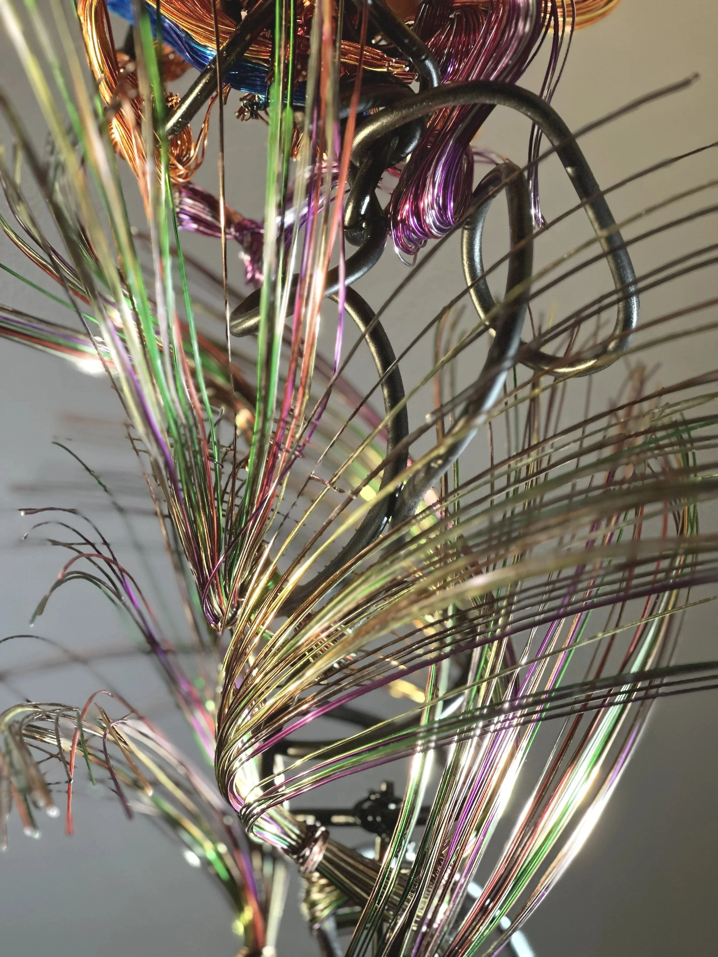 Title: “Paradise" Detail #2. 
Dimensions:  1' 0" × 1' 0" × 2' 8"
Coiled strands rise and twist like a wild tendril caught in a sudden gust, capturing the restless motion of growth reaching toward open air.



Hand‑formed wire sculpture exploring bota