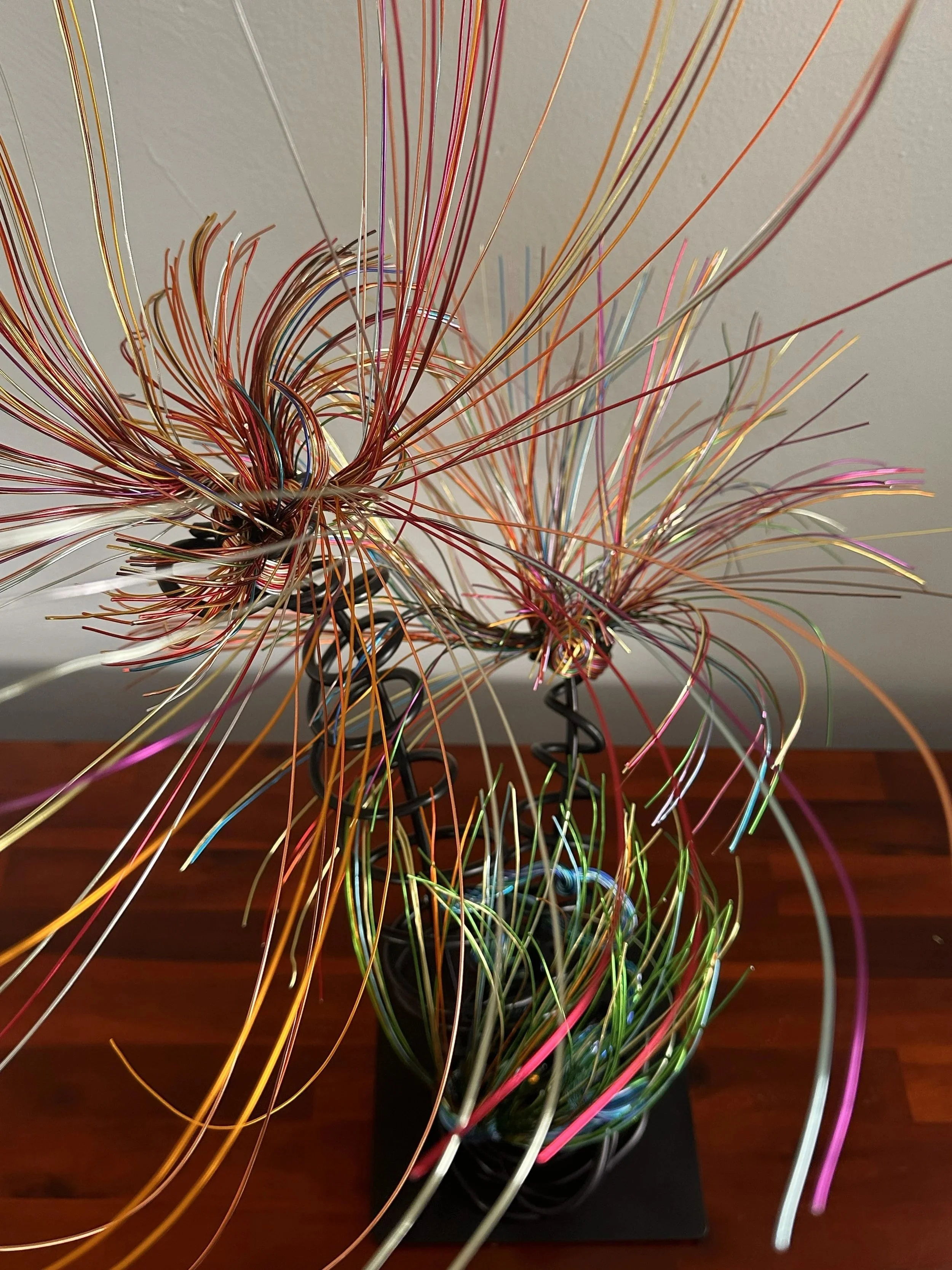 Title: Luminous.  Detail view
Dimensions:  2' × 2 '× 2' 8"
Fine wires flare outward like petals deciding to open, catching the light in shifting tones of copper, ember, and moss. The piece holds the stillness of a plant just on the edge of becoming s