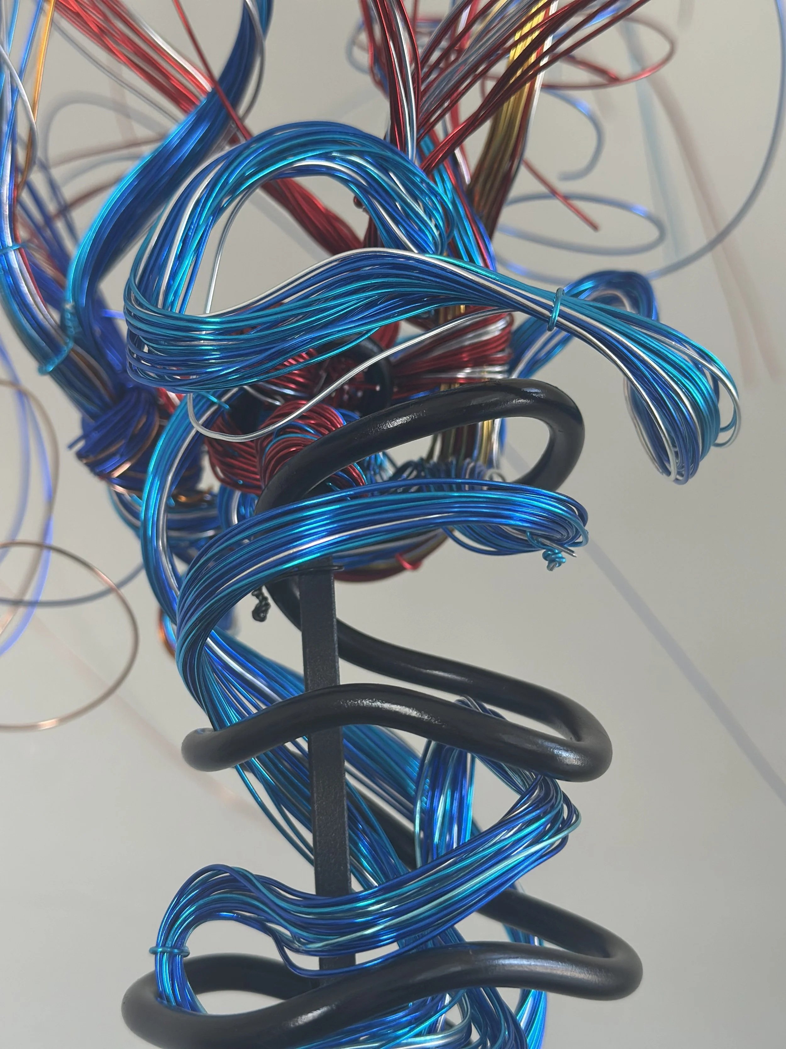 Title:  "Gentle Breeze" Spot lighting - Detail 
Dimensions: 3' 6" x 3' 6" x 4 '10" 
From a dense, coiled base, the wires rise like the trunk of a young palm, opening into a crown of wind‑caught fronds. 