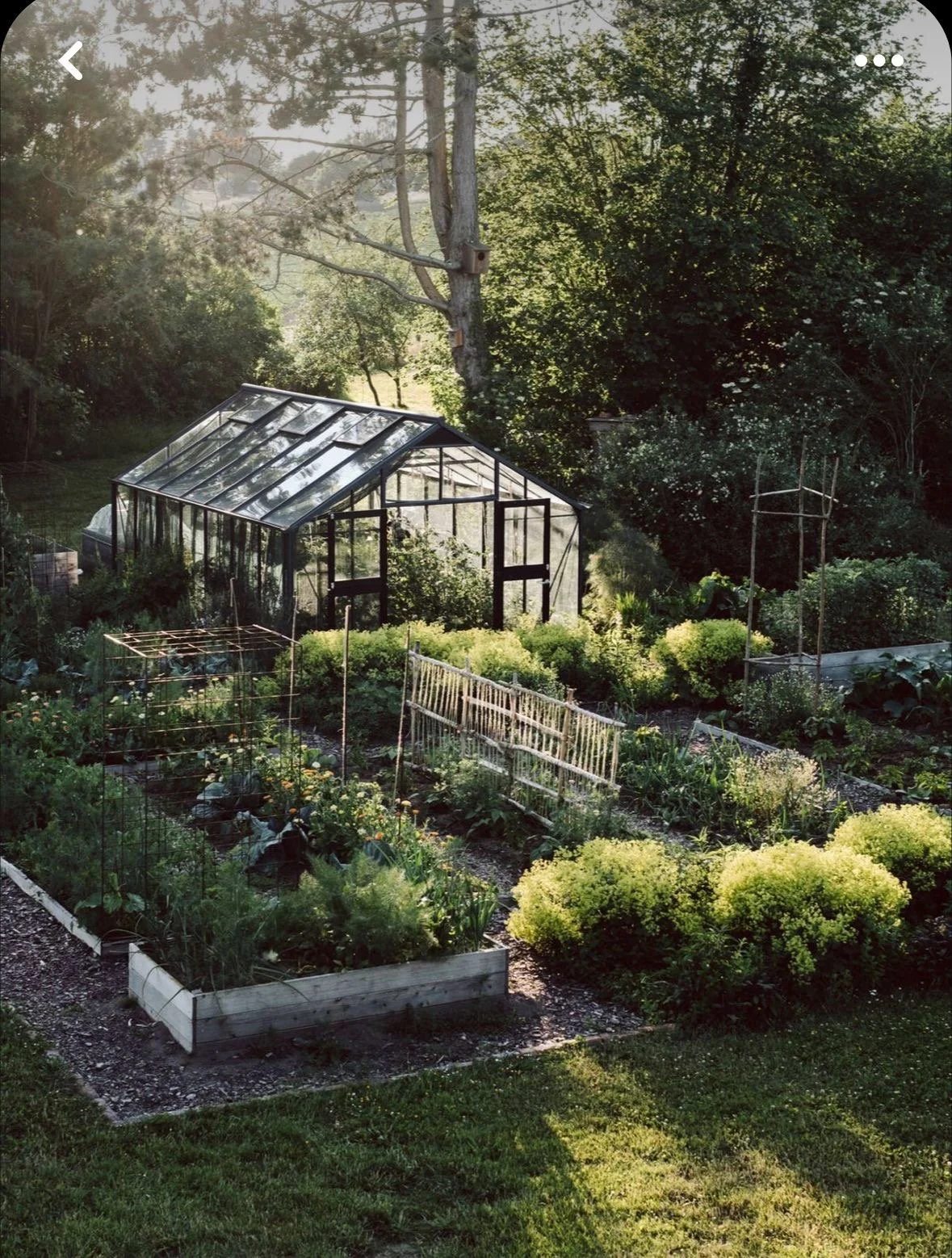 Image 2.jpg