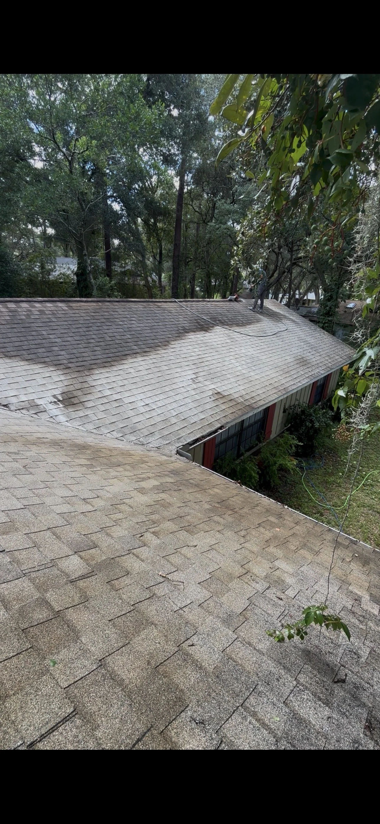 roofwash deland.png
