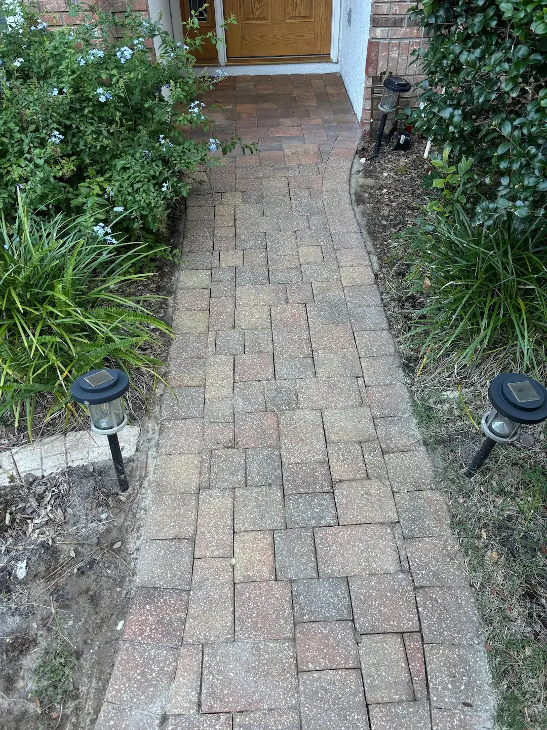 paver cleaning hero (1).webp