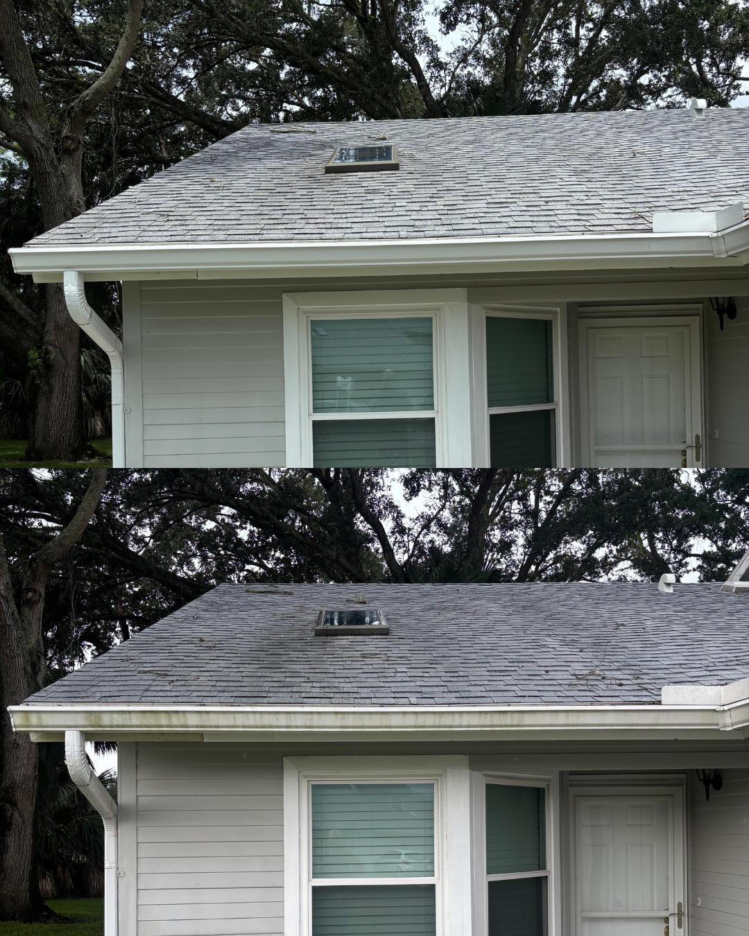 GUTTER CLEANING.png