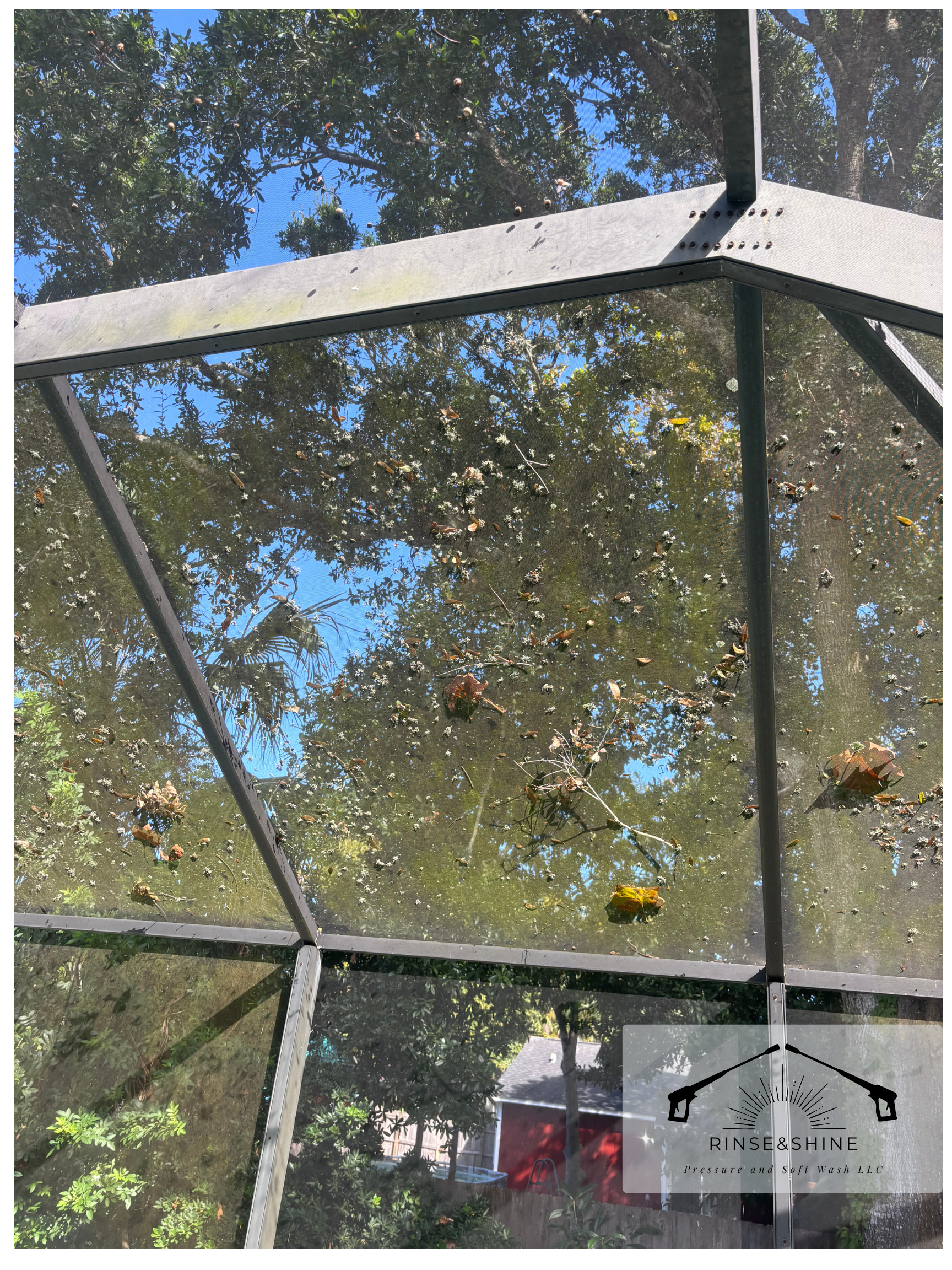 POOL ENCLOSURE CLEANING