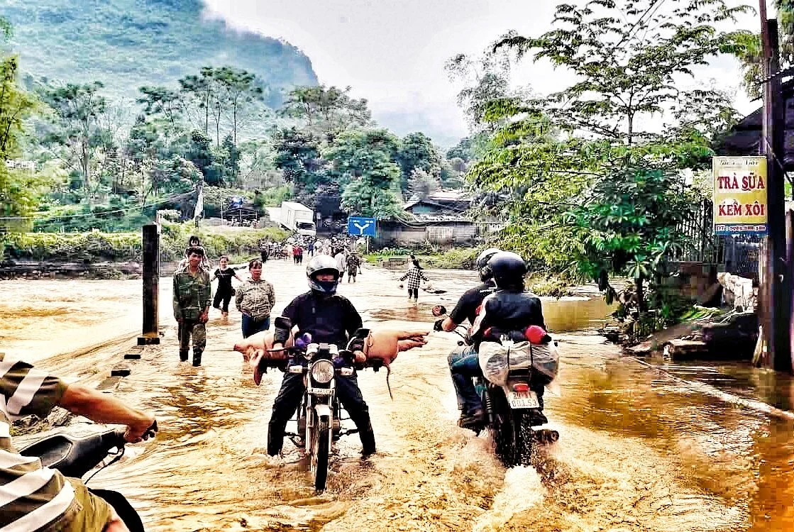 Rosco and Sadie - Vietnam