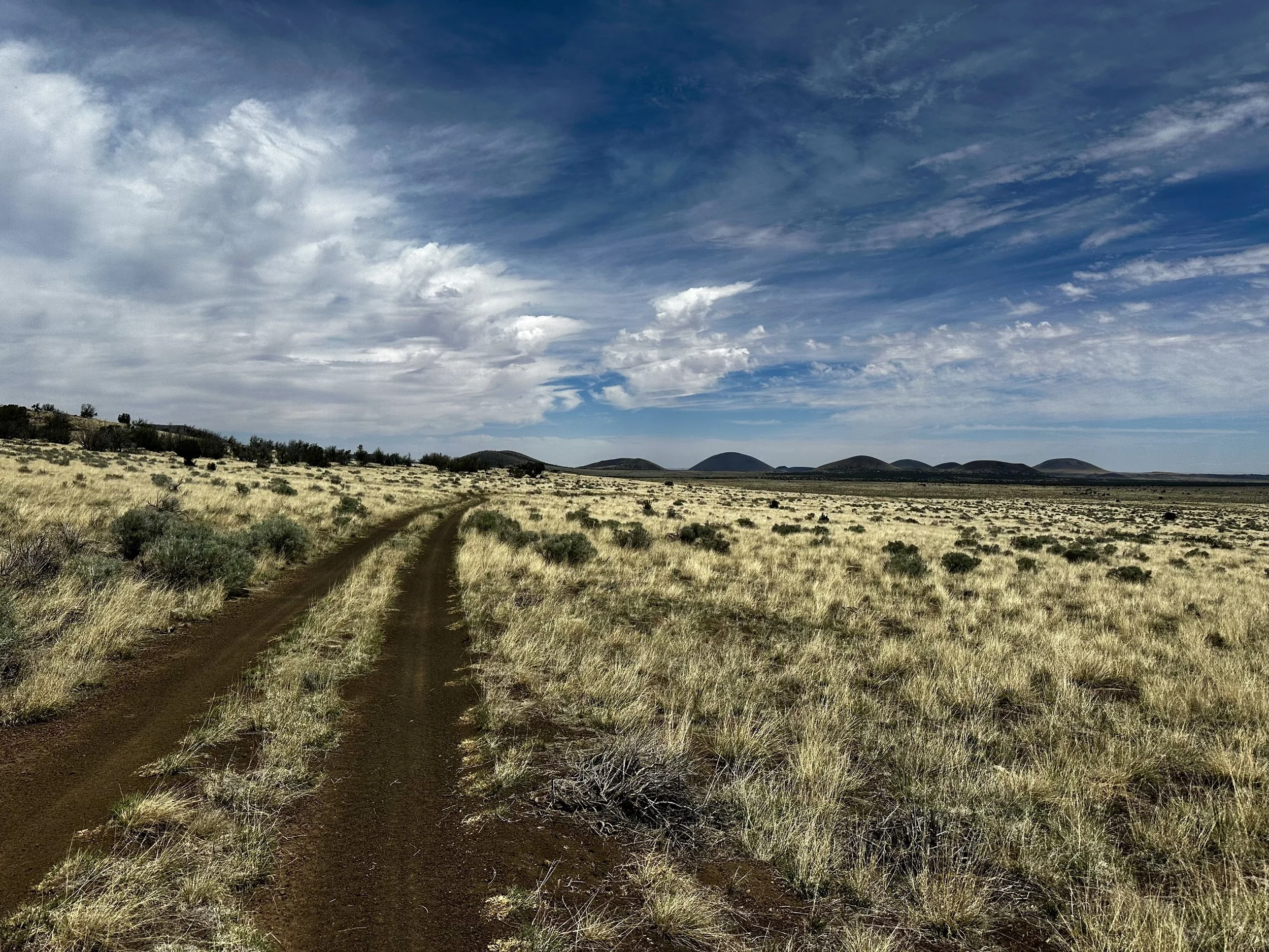 A dirt road running through a grassy plain with small shrubs, with hills in the distance under a partly cloudy sky.