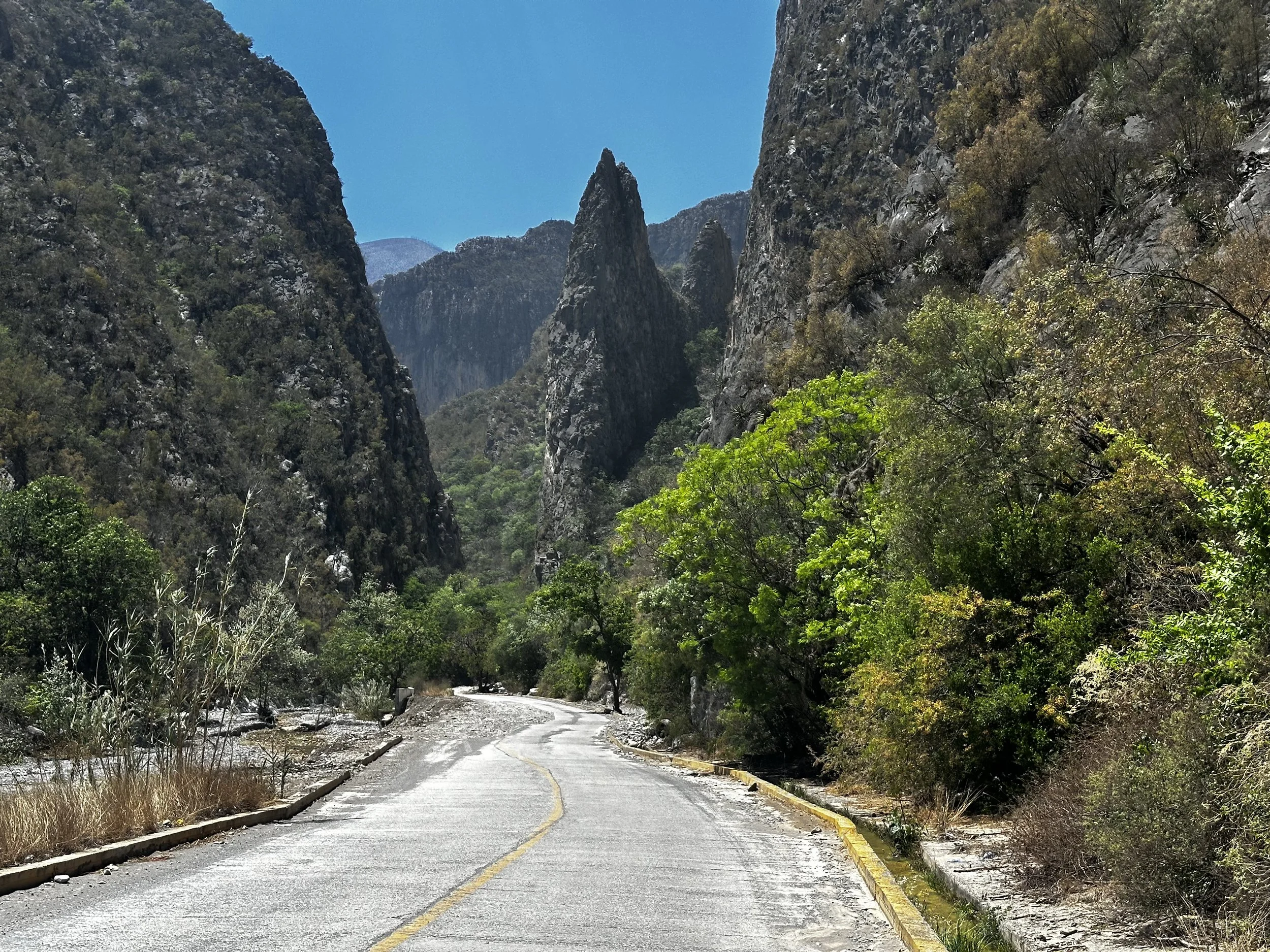 A winding road through a canyon with tall rocky cliffs and green trees on either side under a clear blue sky.